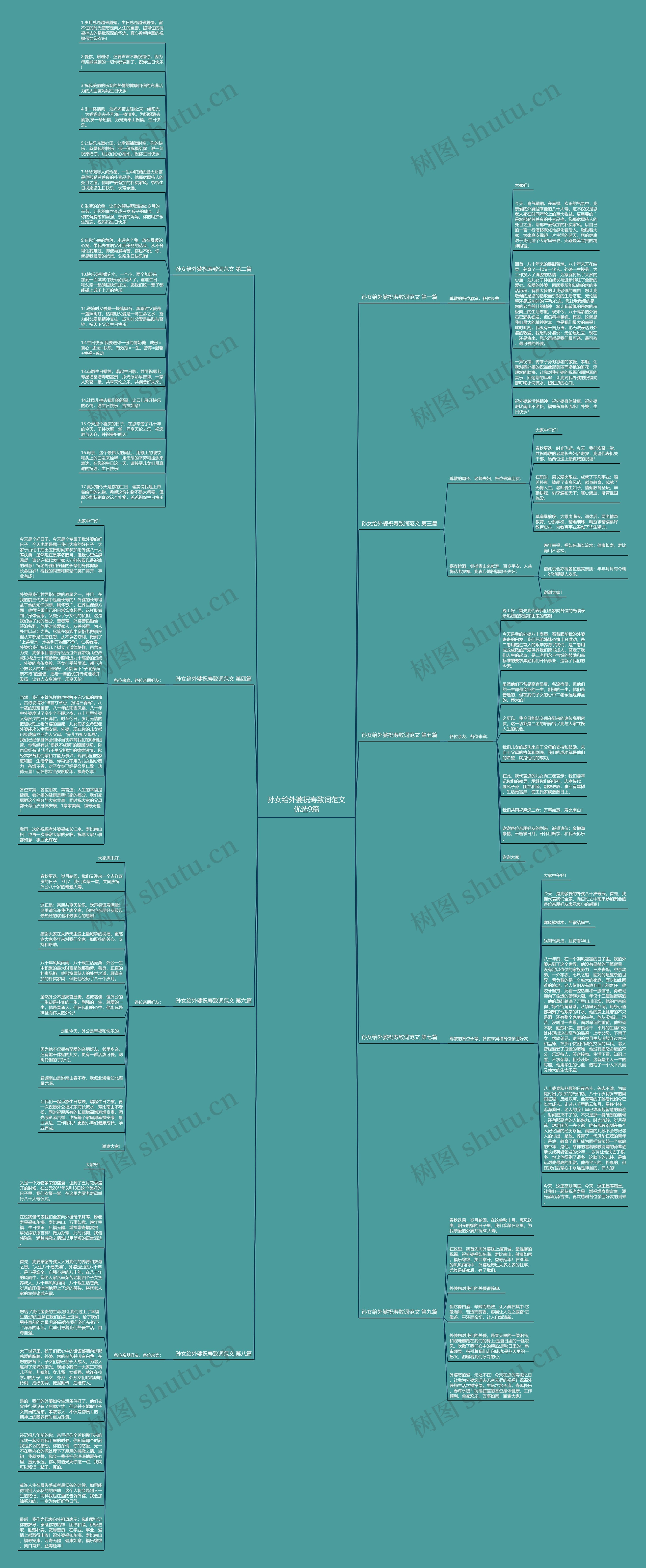 孙女给外婆祝寿致词范文优选9篇思维导图