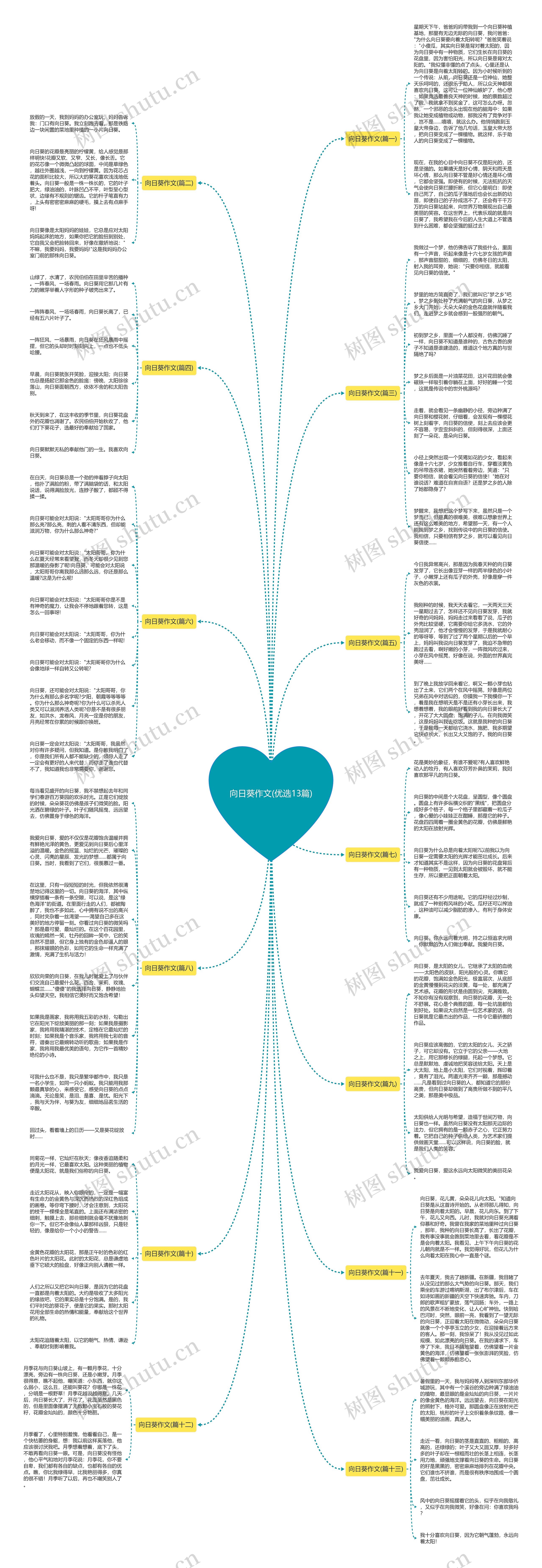向日葵作文(优选13篇) 向日葵作文(优选13篇)