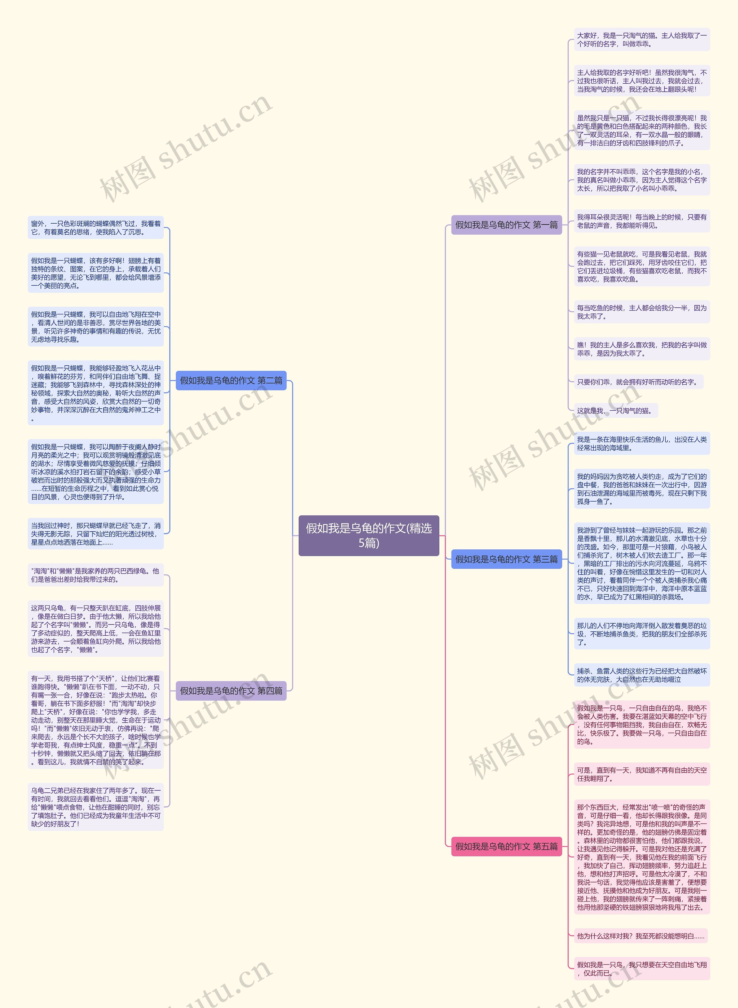 假如我是乌龟的作文(精选5篇)思维导图