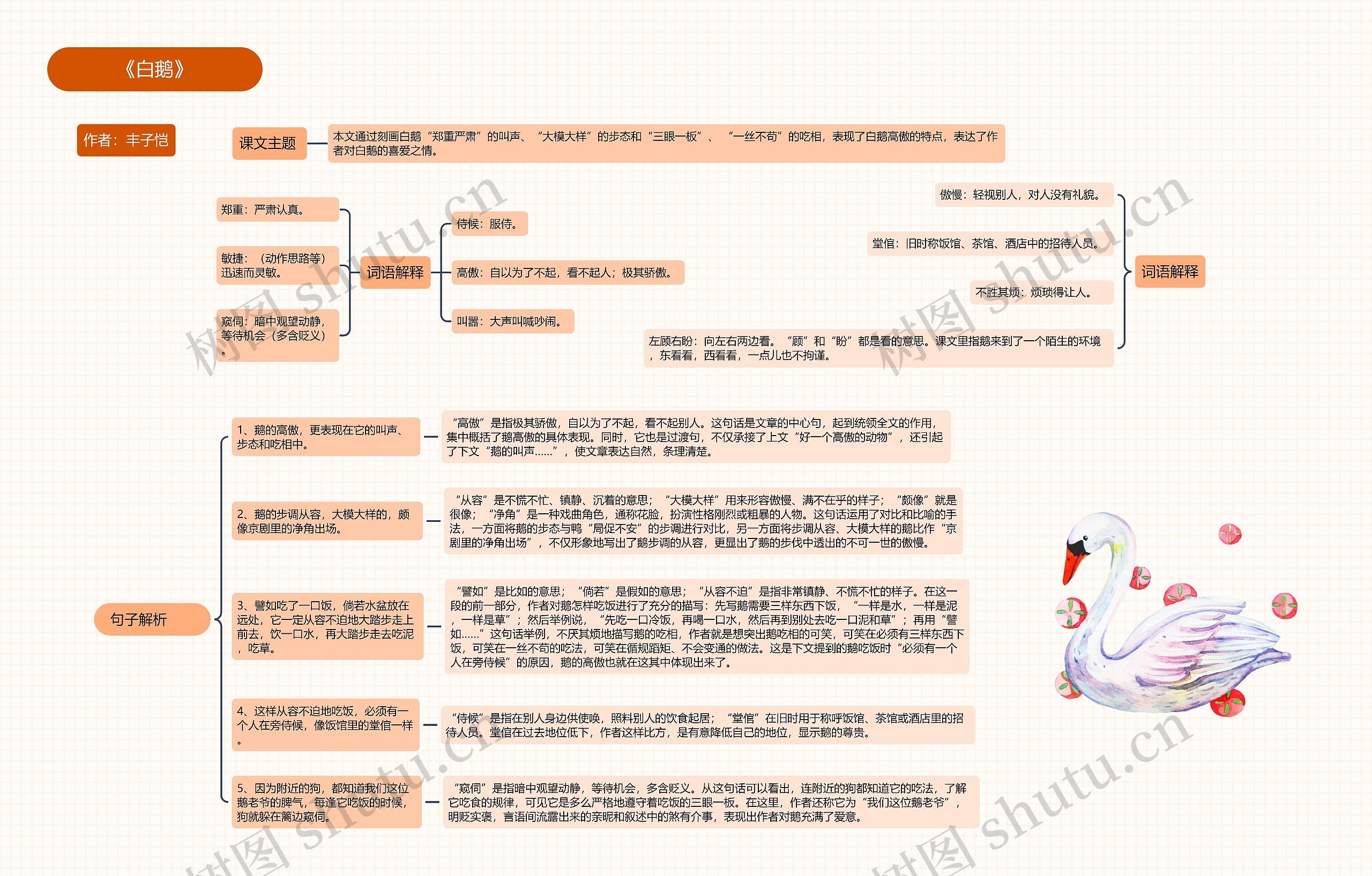 ﻿《白鹅》思维导图