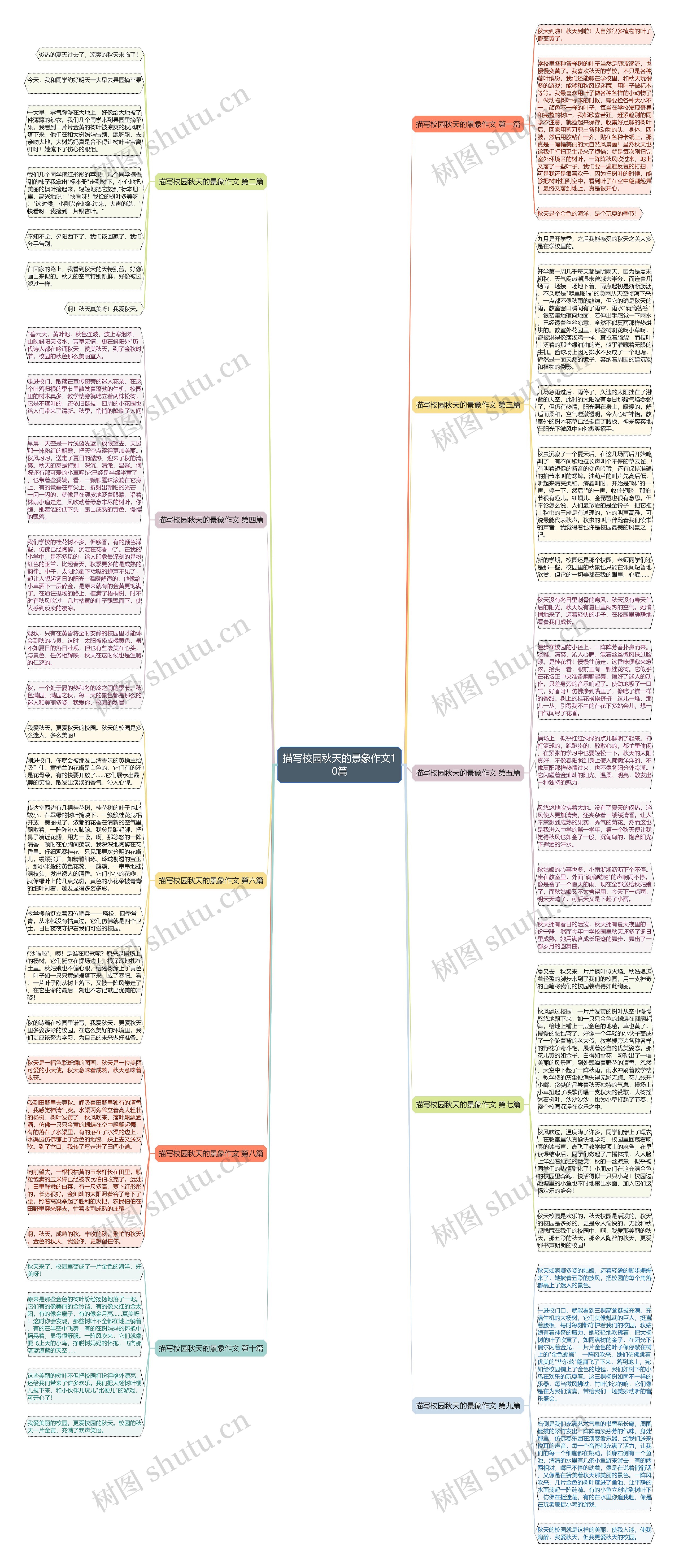描写校园秋天的景象作文10篇思维导图