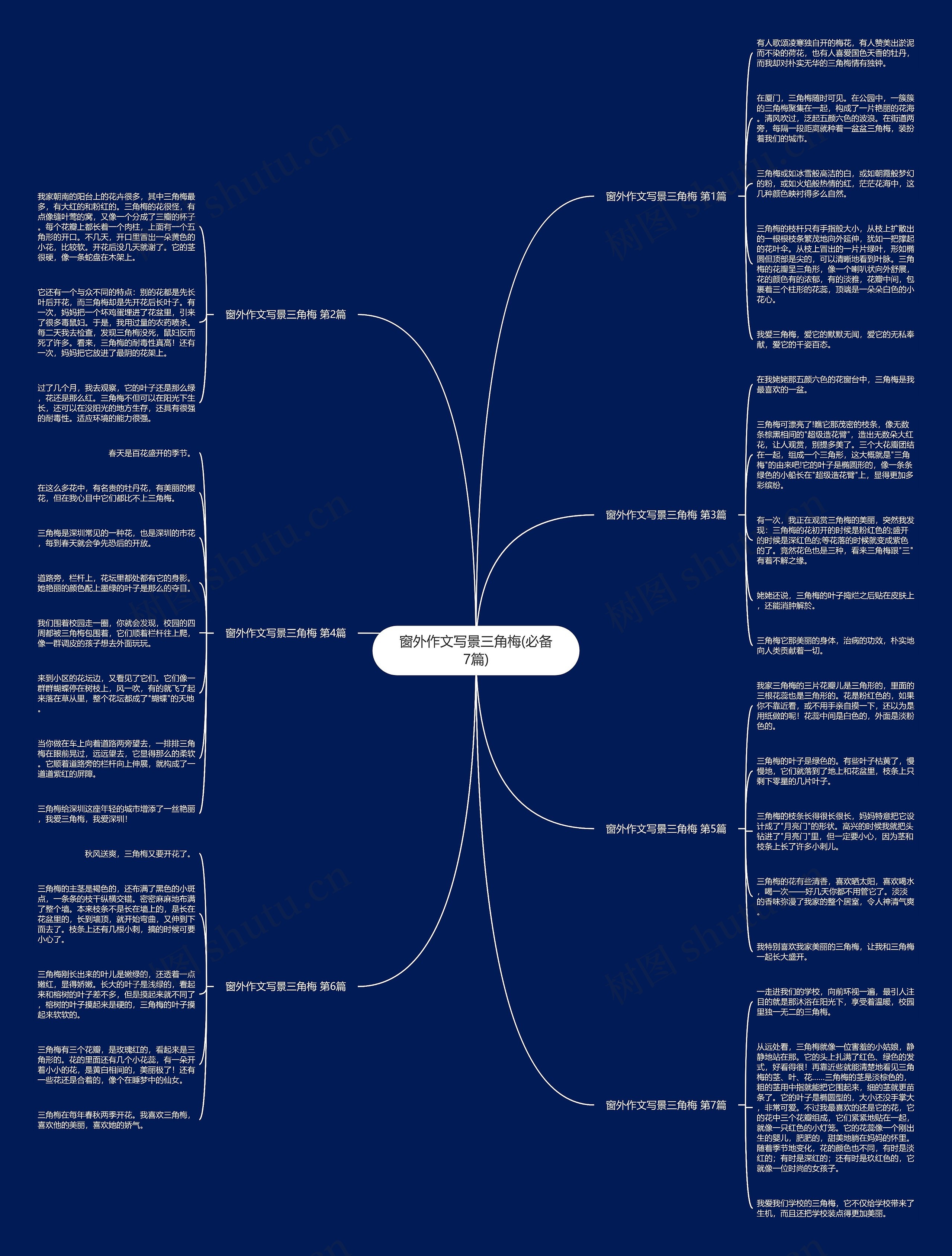 窗外作文写景三角梅(必备7篇) 窗外作文写景三角梅(必备7篇)