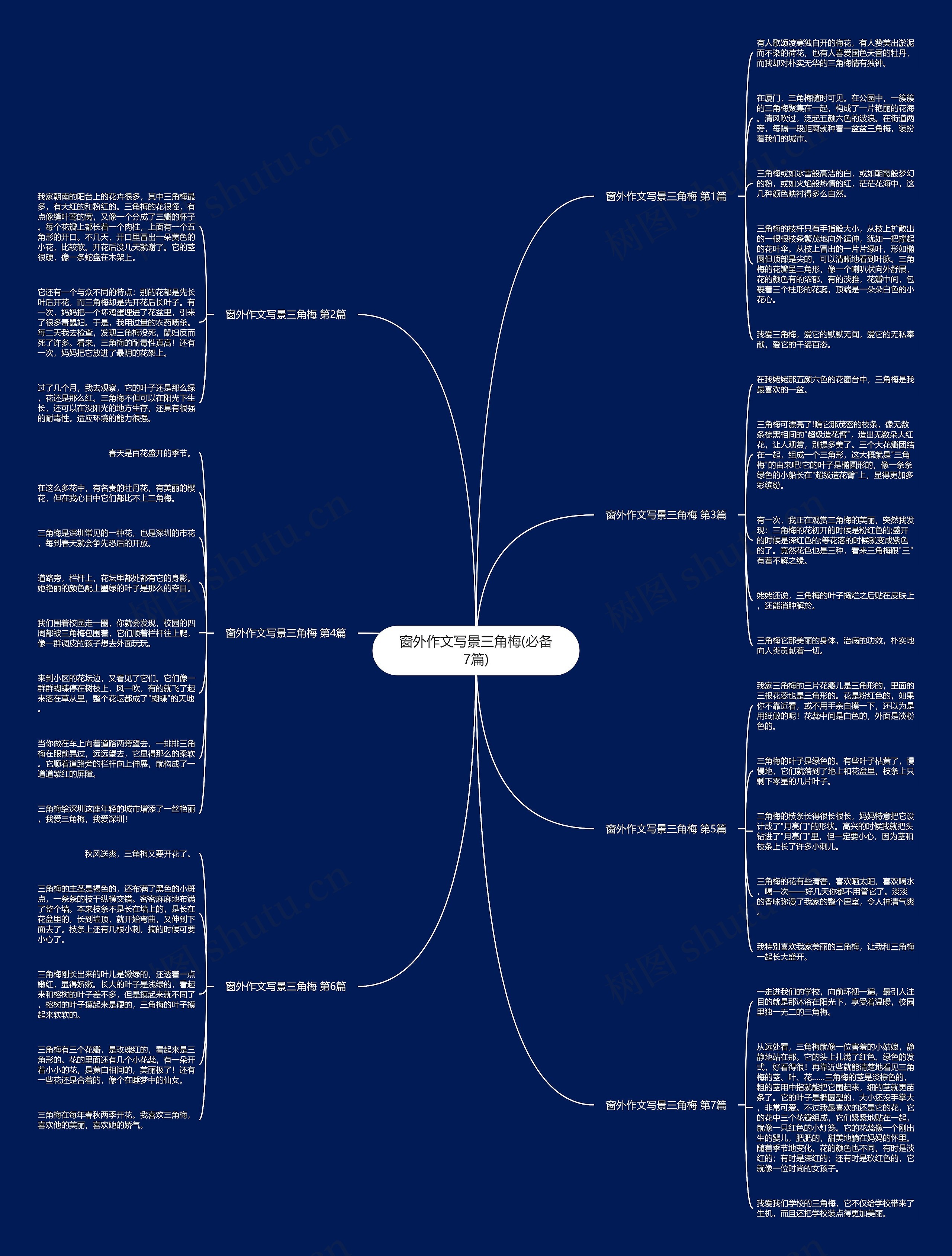 窗外作文写景三角梅(必备7篇)思维导图