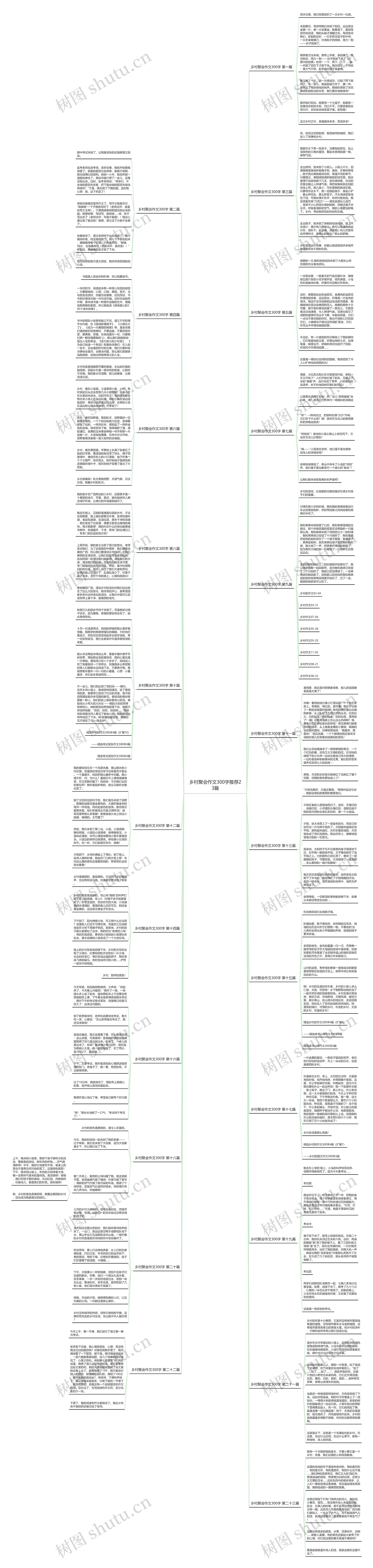 乡村聚会作文300字推荐23篇思维导图