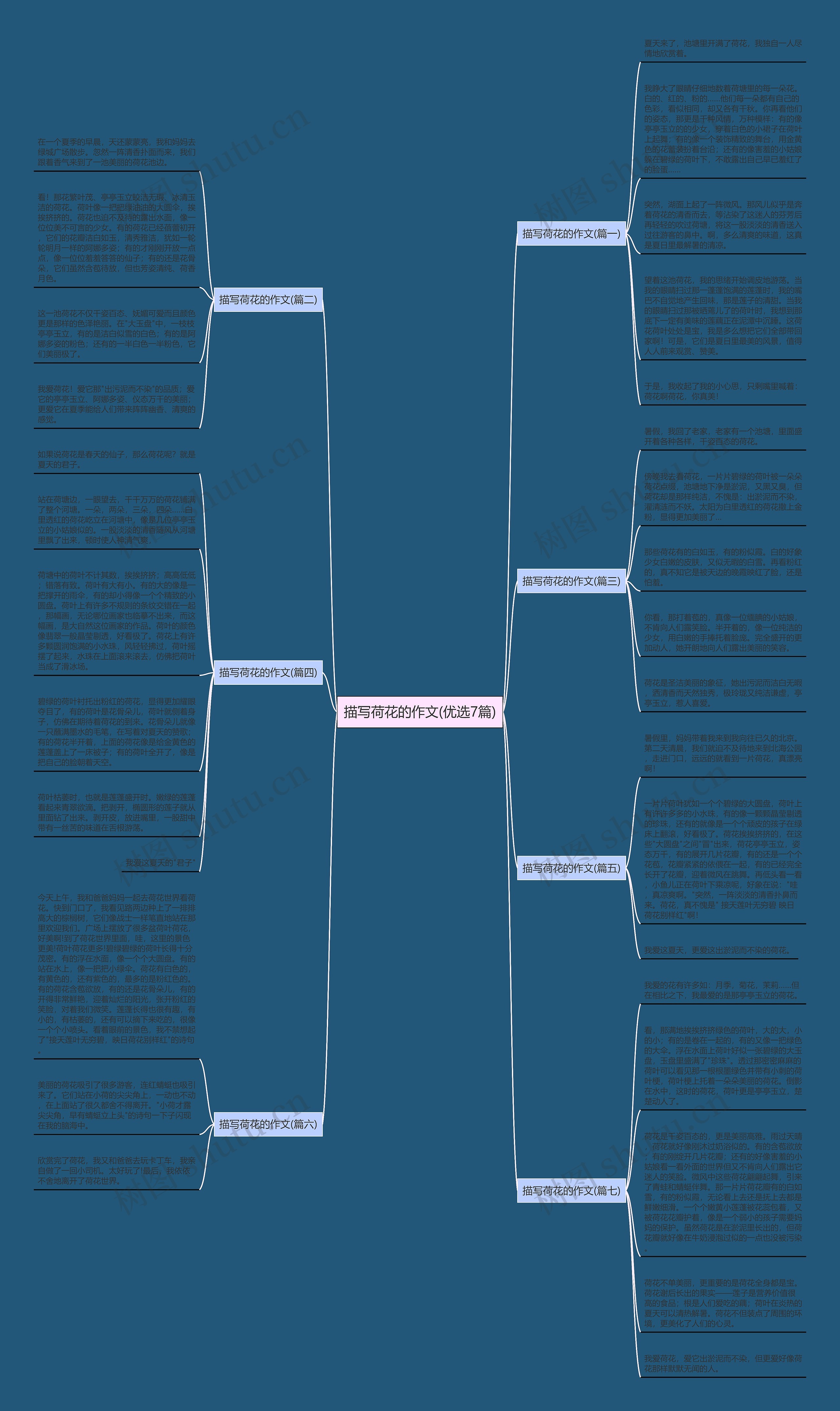 描写荷花的作文(优选7篇)思维导图