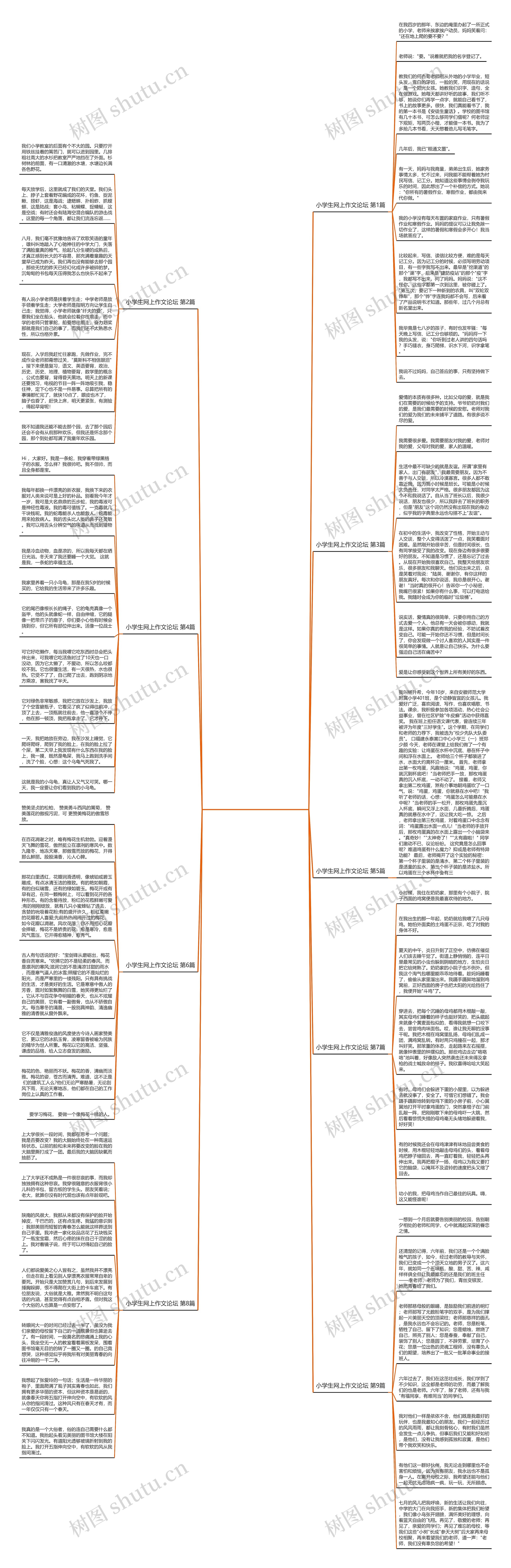小学生网上作文论坛(必备9篇)思维导图
