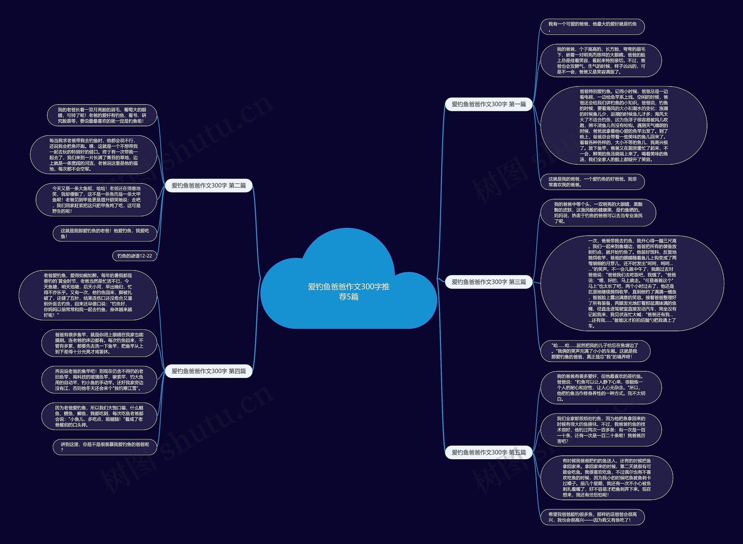 爱钓鱼爸爸作文300字推荐5篇思维导图