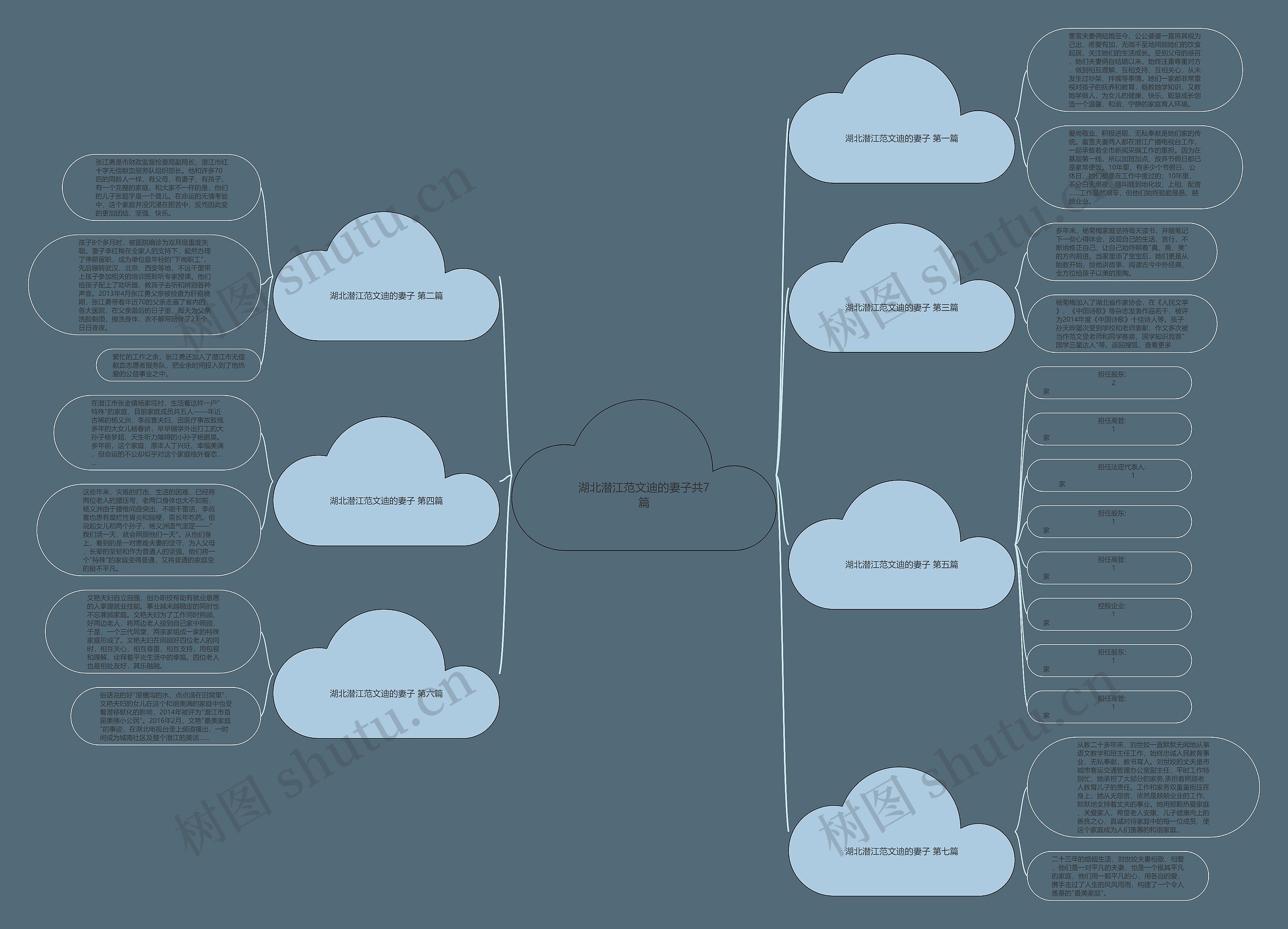 湖北潜江范文迪的妻子共7篇思维导图
