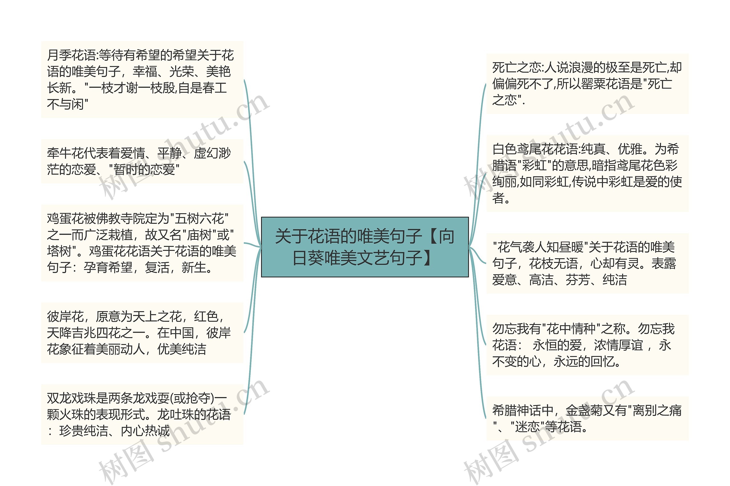 关于花语的唯美句子【向日葵唯美文艺句子】