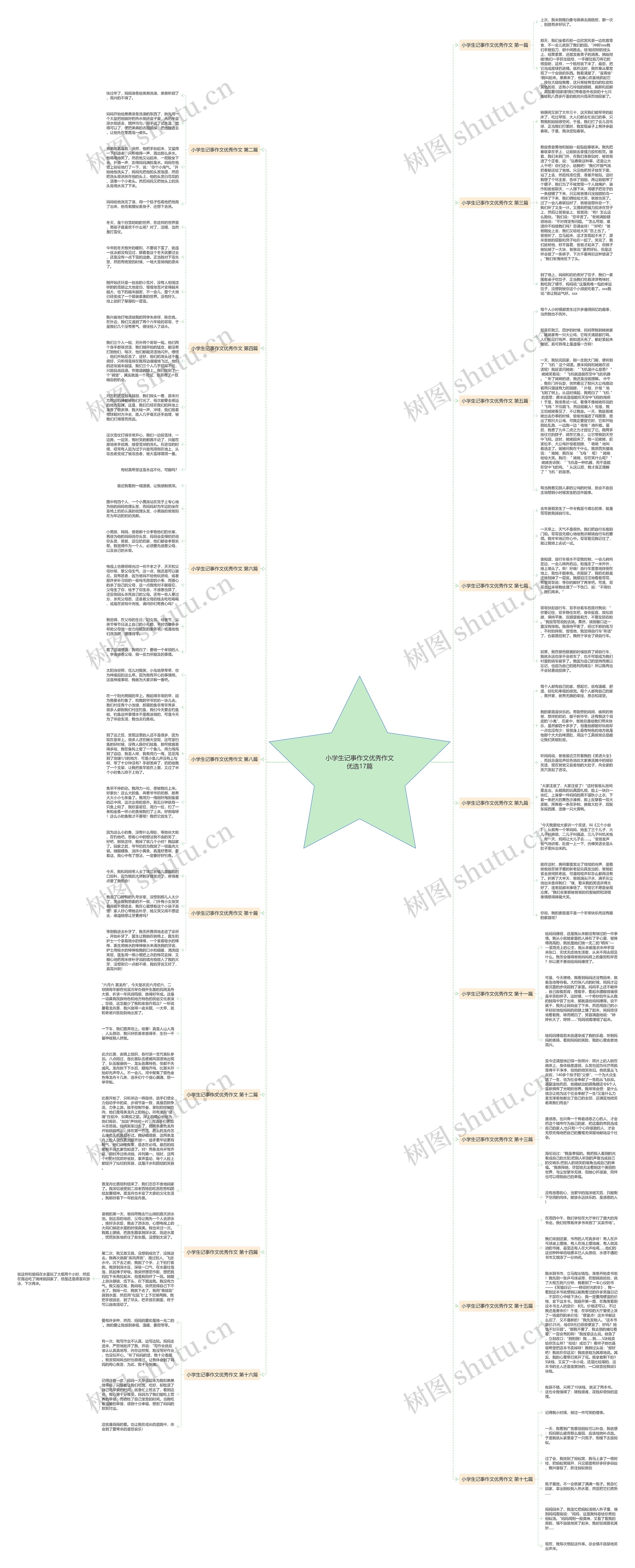 小学生记事作文优秀作文优选17篇思维导图