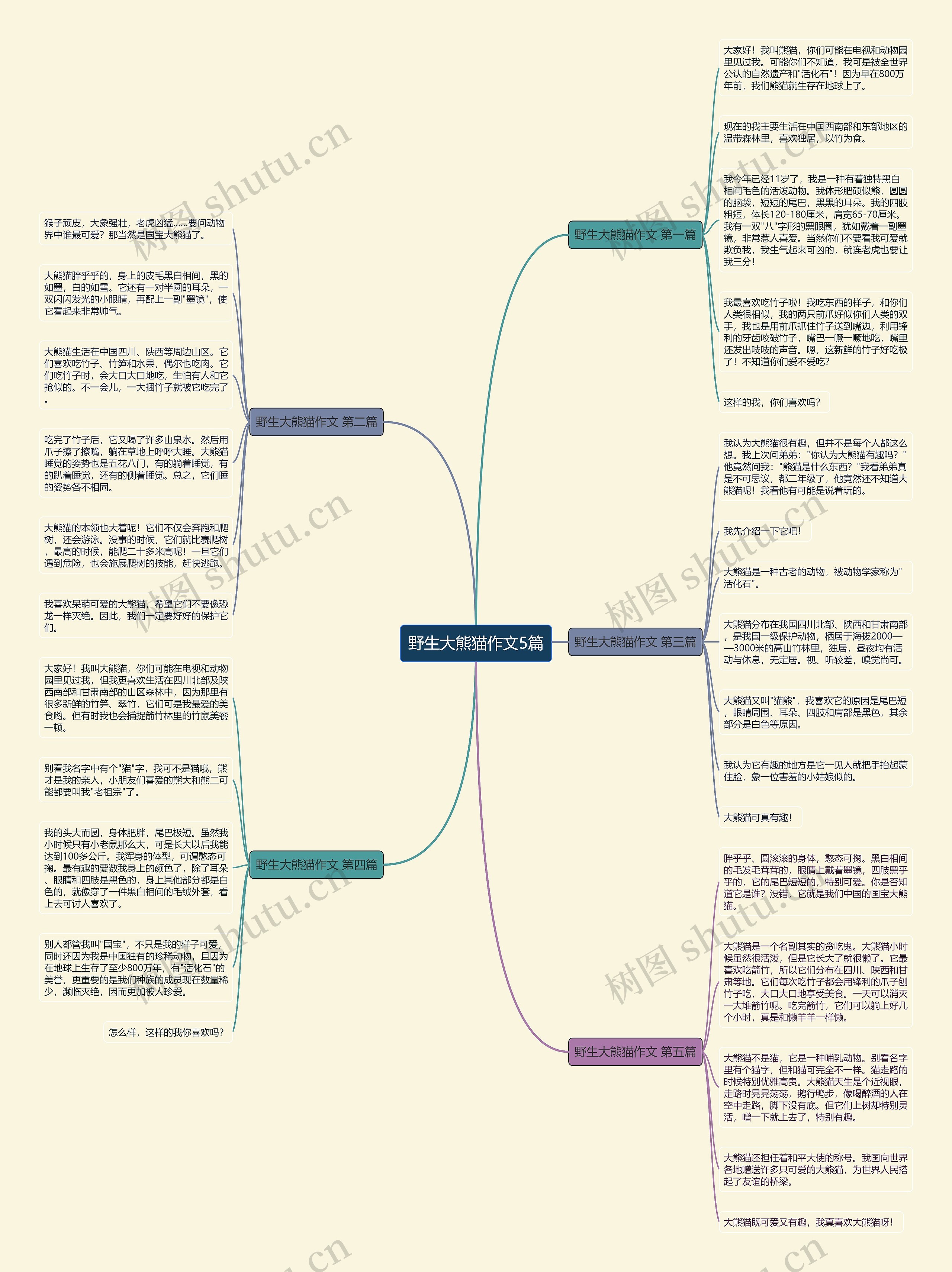 野生大熊猫作文5篇思维导图