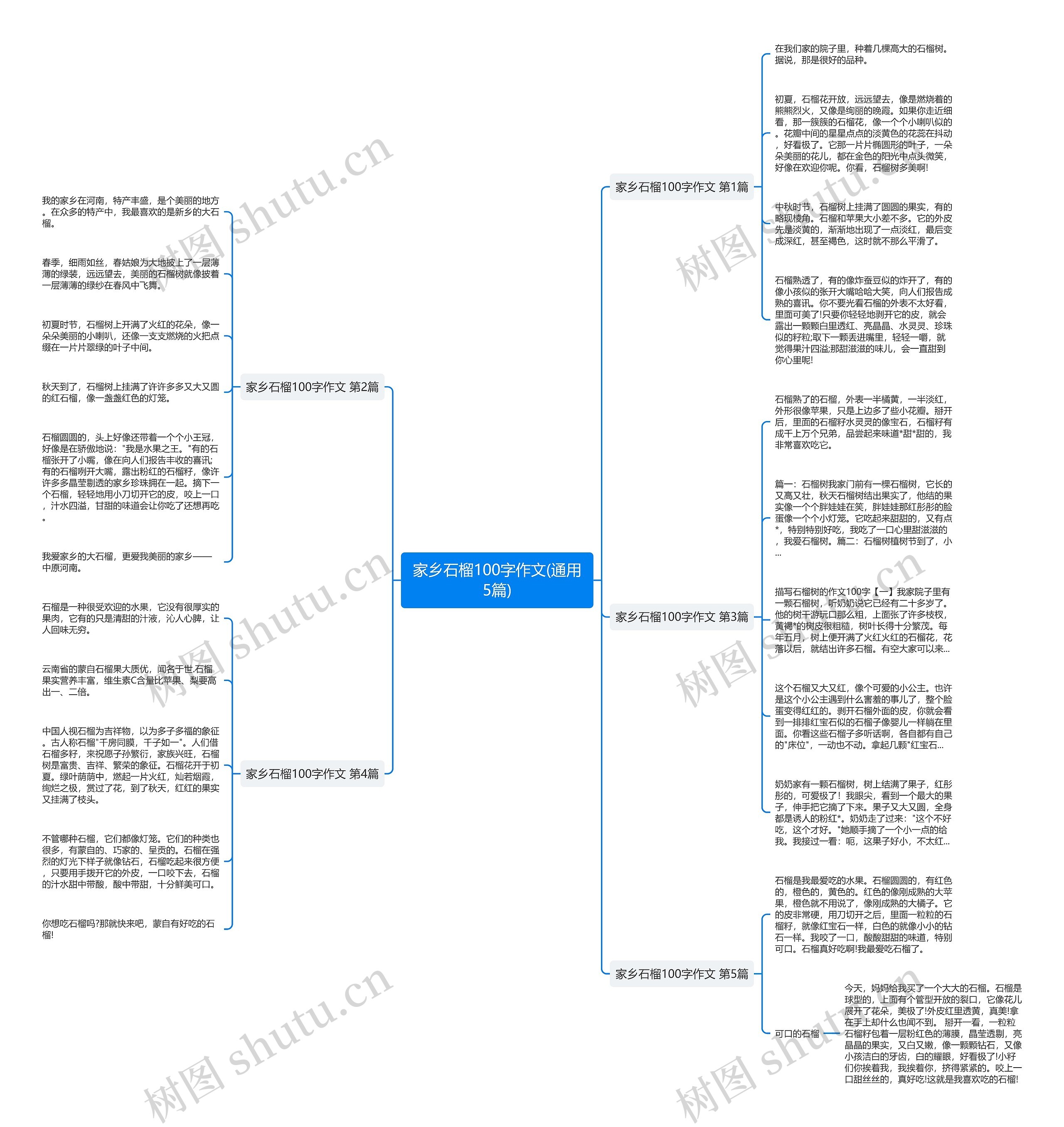 家乡石榴100字作文(通用5篇)思维导图