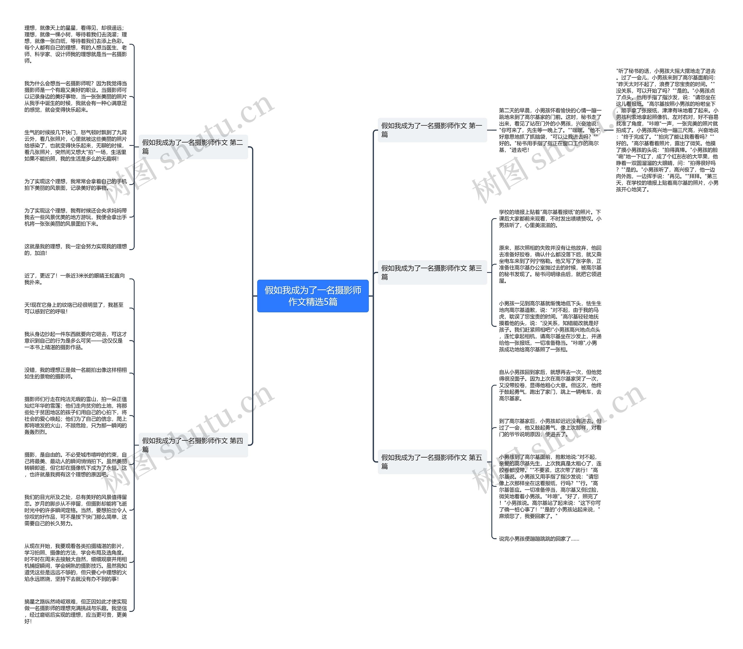 假如我成为了一名摄影师作文精选5篇思维导图