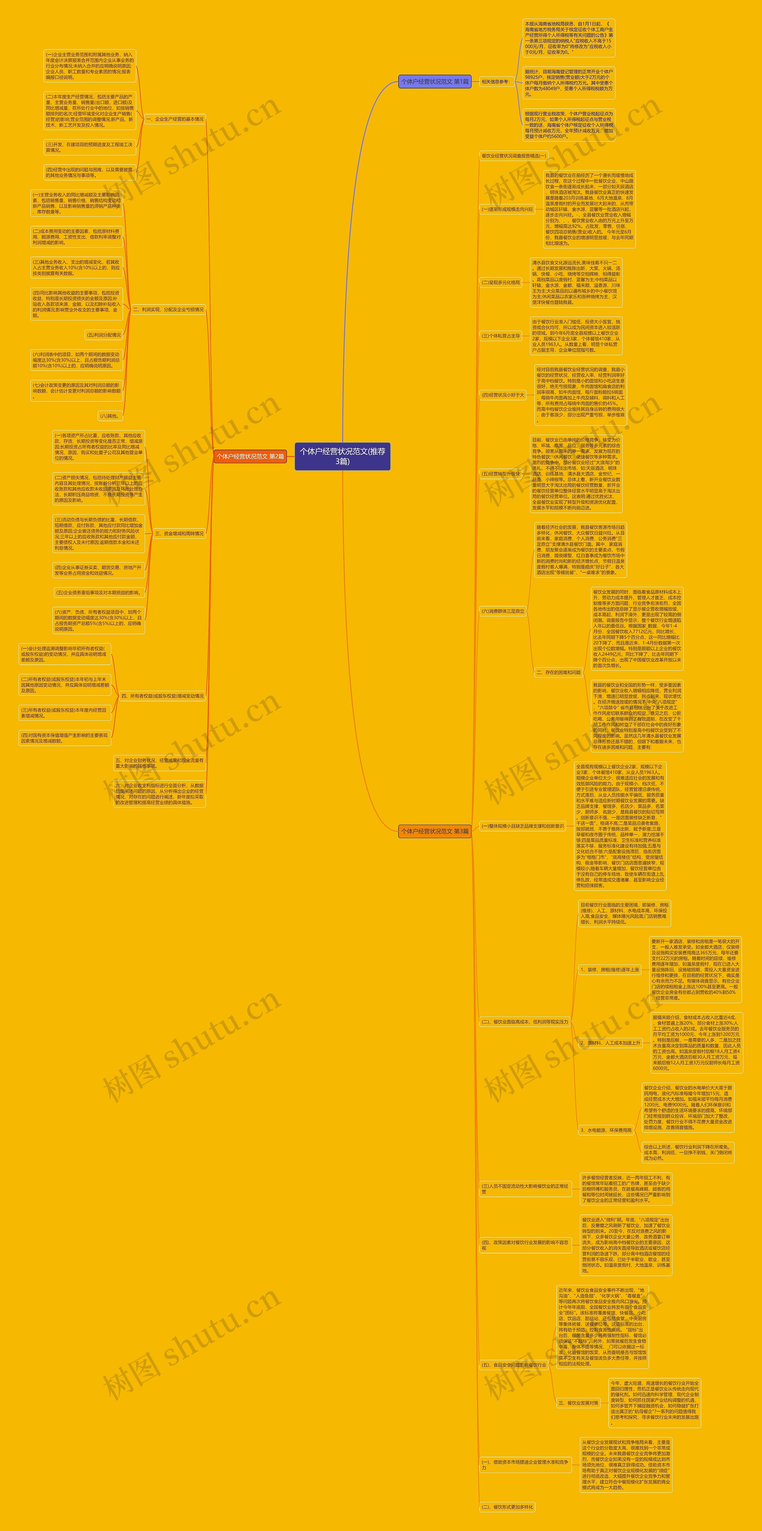 个体户经营状况范文(推荐3篇)思维导图