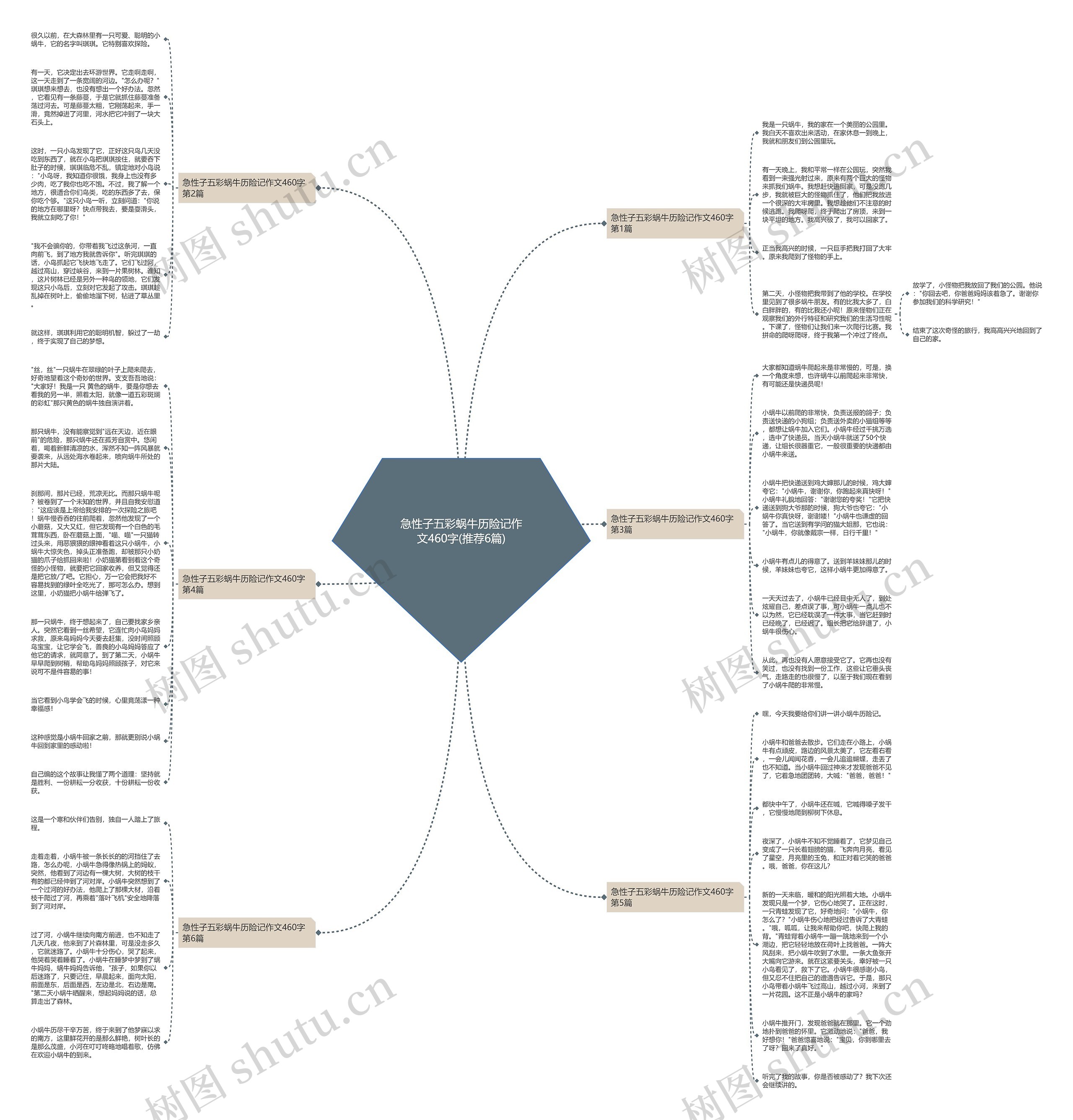 急性子五彩蜗牛历险记作文460字(推荐6篇)思维导图