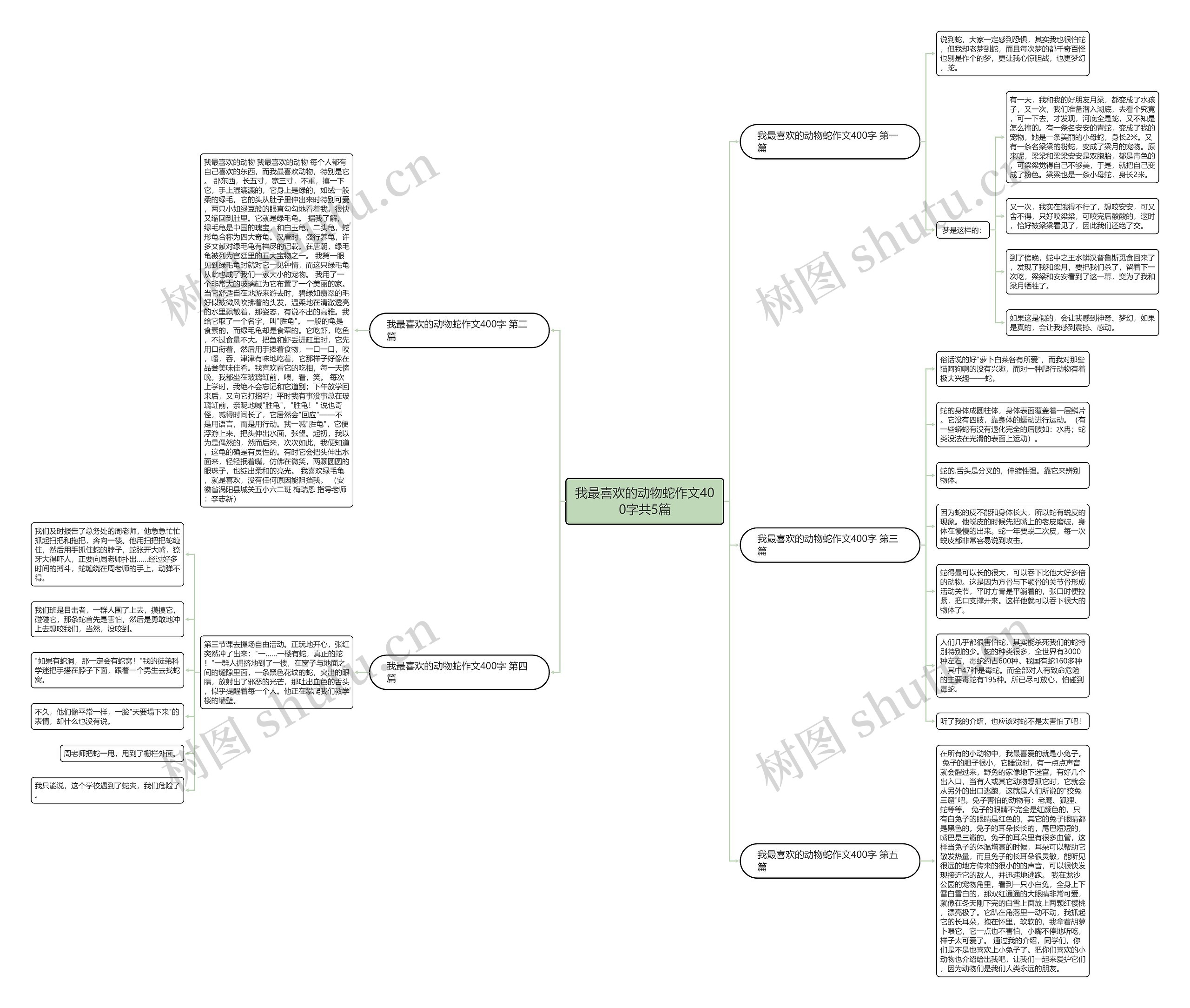 我最喜欢的动物蛇作文400字共5篇思维导图