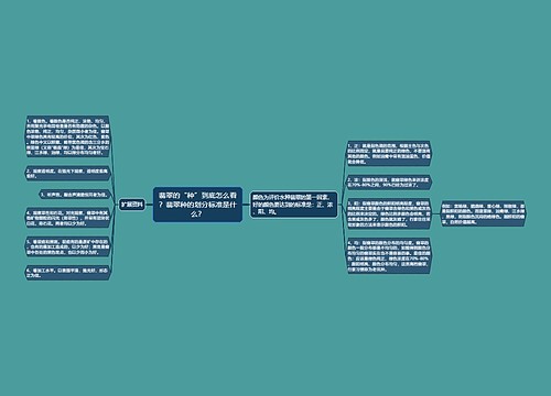 翡翠的“种”到底怎么看?翡翠种的划分标准是什么? 翡翠的“种”到底怎么看?翡翠种的划分标准是什么?