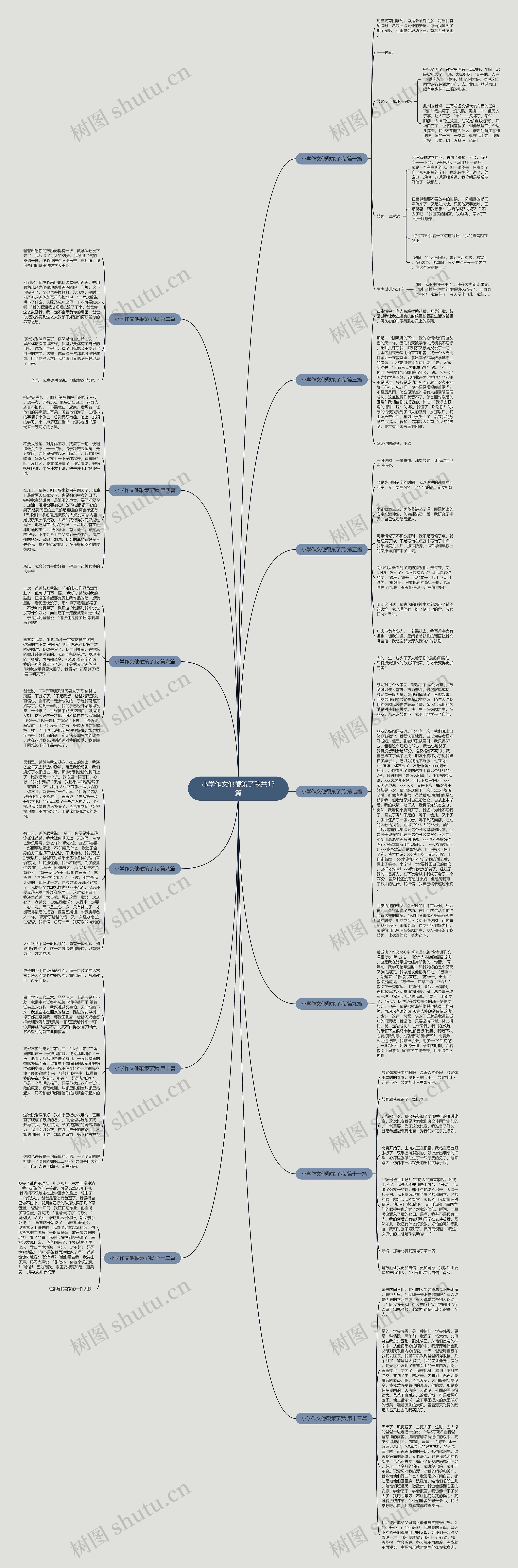 小学作文他鞭策了我共13篇思维导图