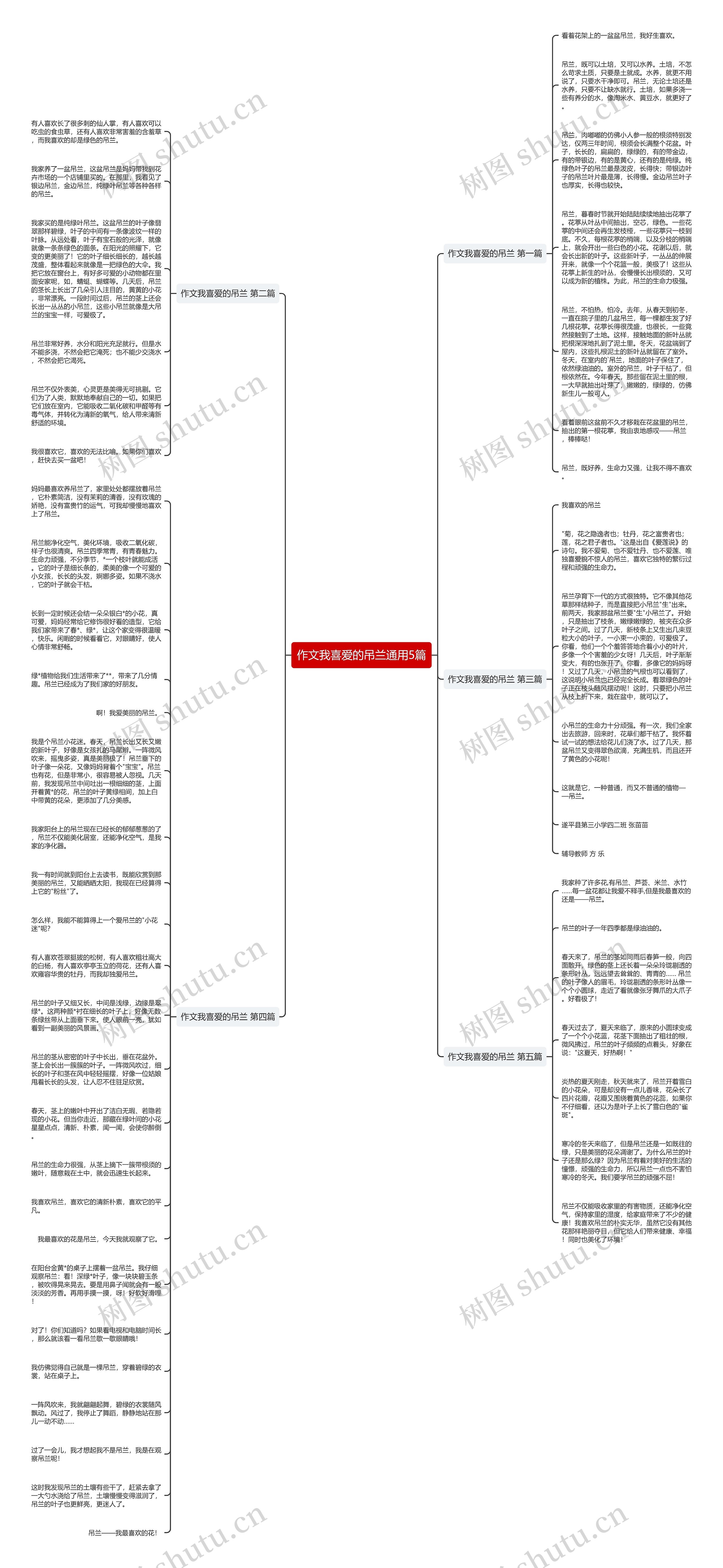 作文我喜爱的吊兰通用5篇思维导图