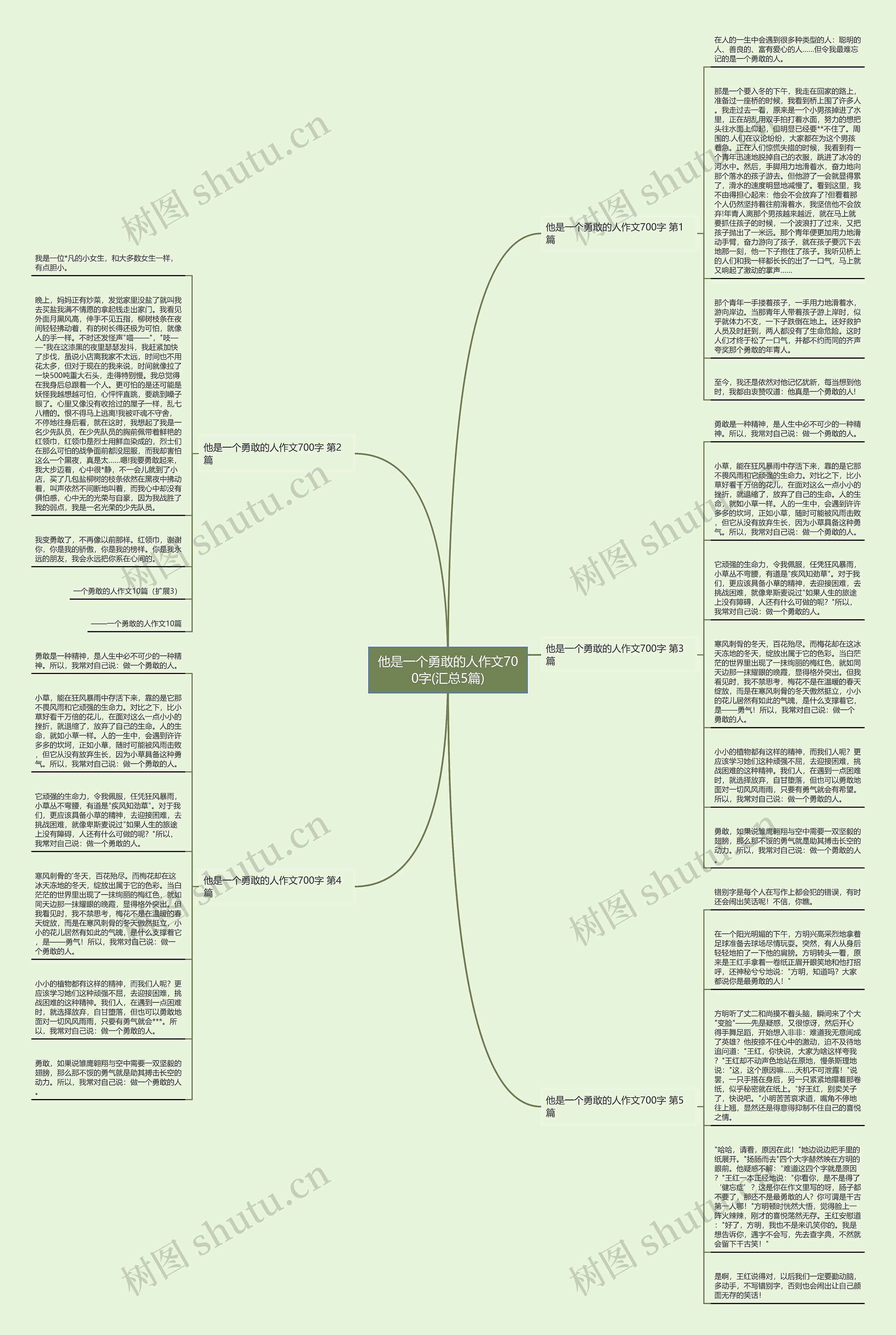 他是一个勇敢的人作文700字(汇总5篇)思维导图