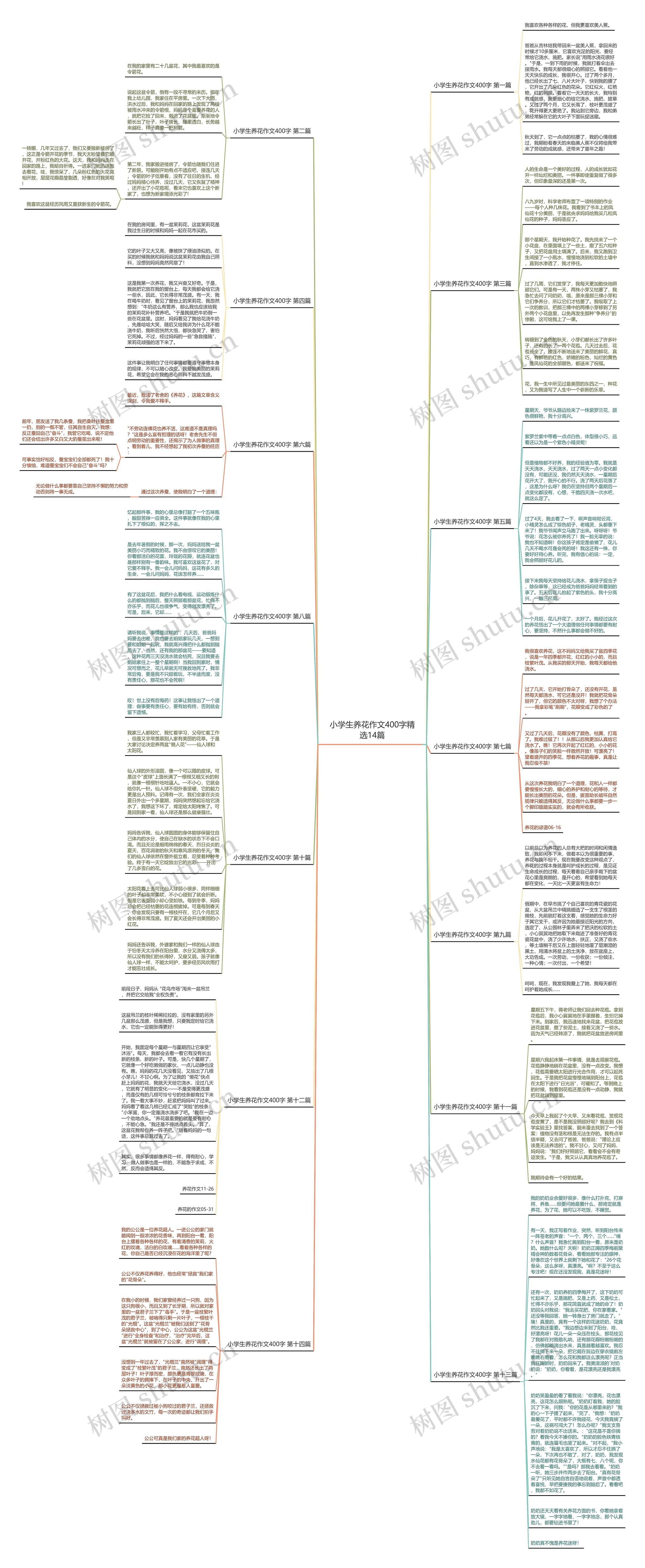 小学生养花作文400字精选14篇思维导图