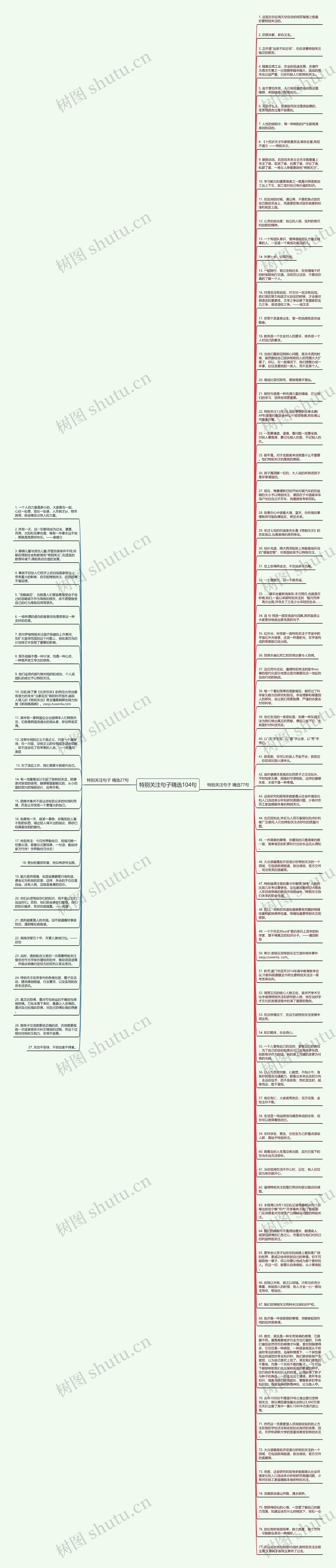 特别关注句子精选104句思维导图