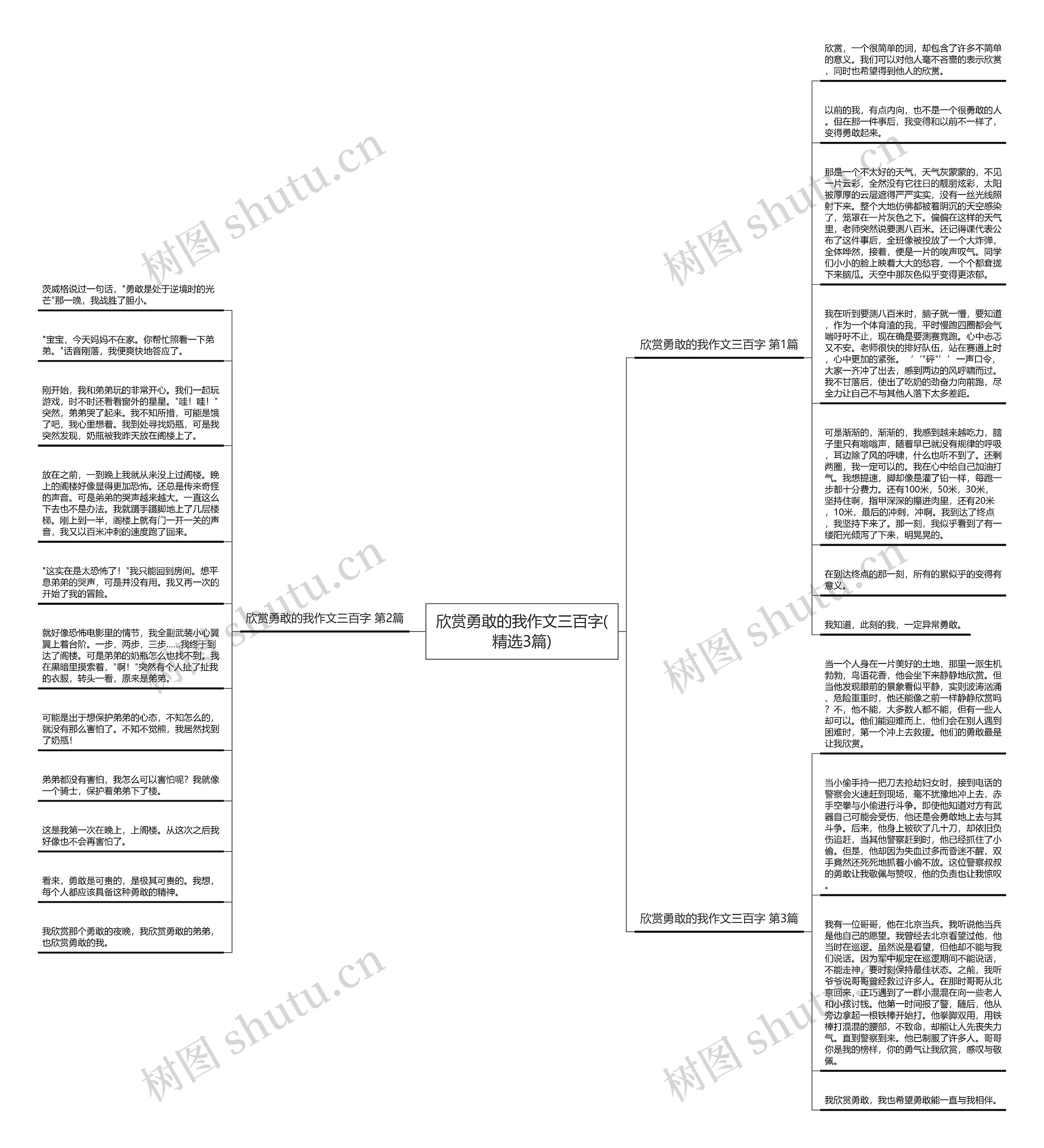 欣赏勇敢的我作文三百字(精选3篇)思维导图