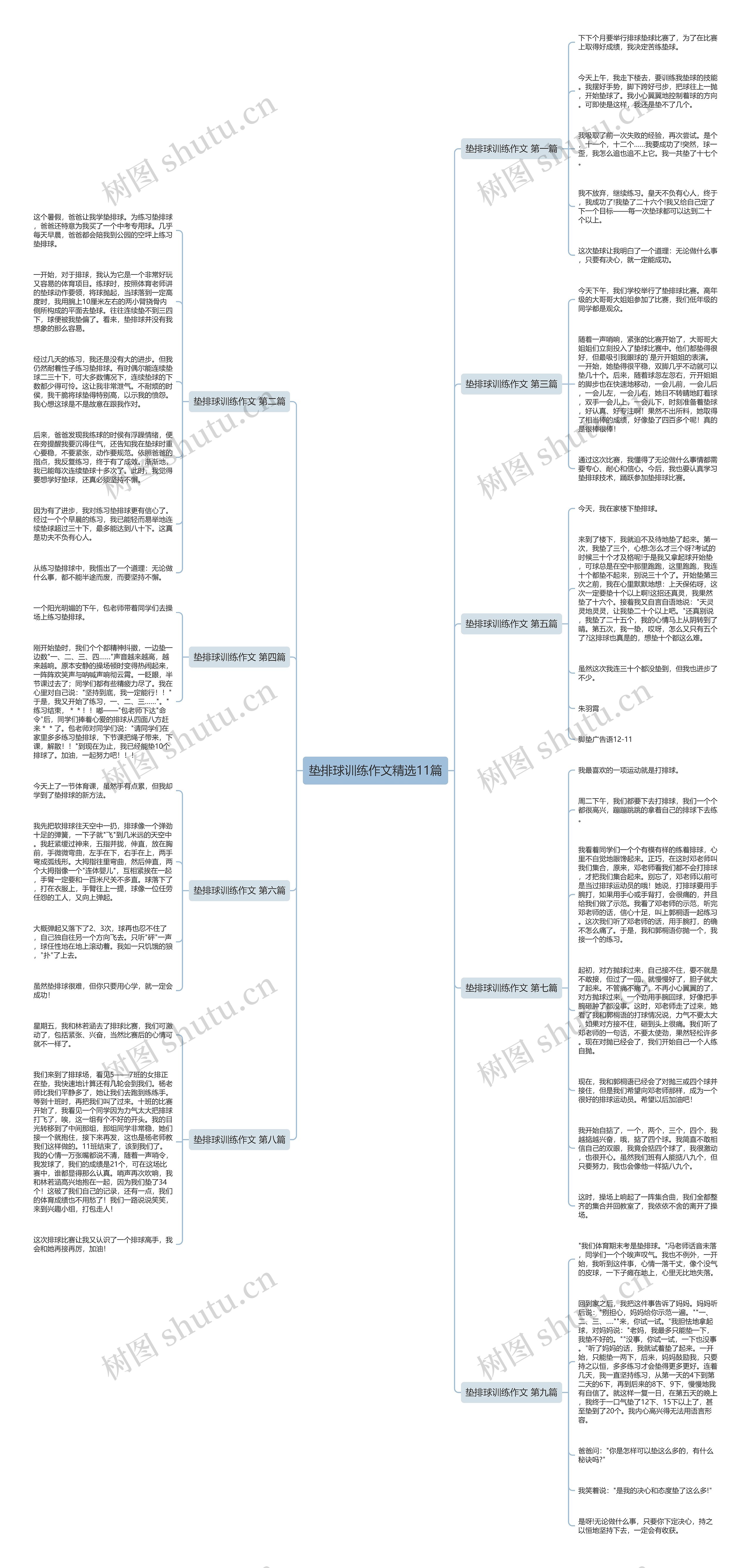 垫排球训练作文精选11篇思维导图