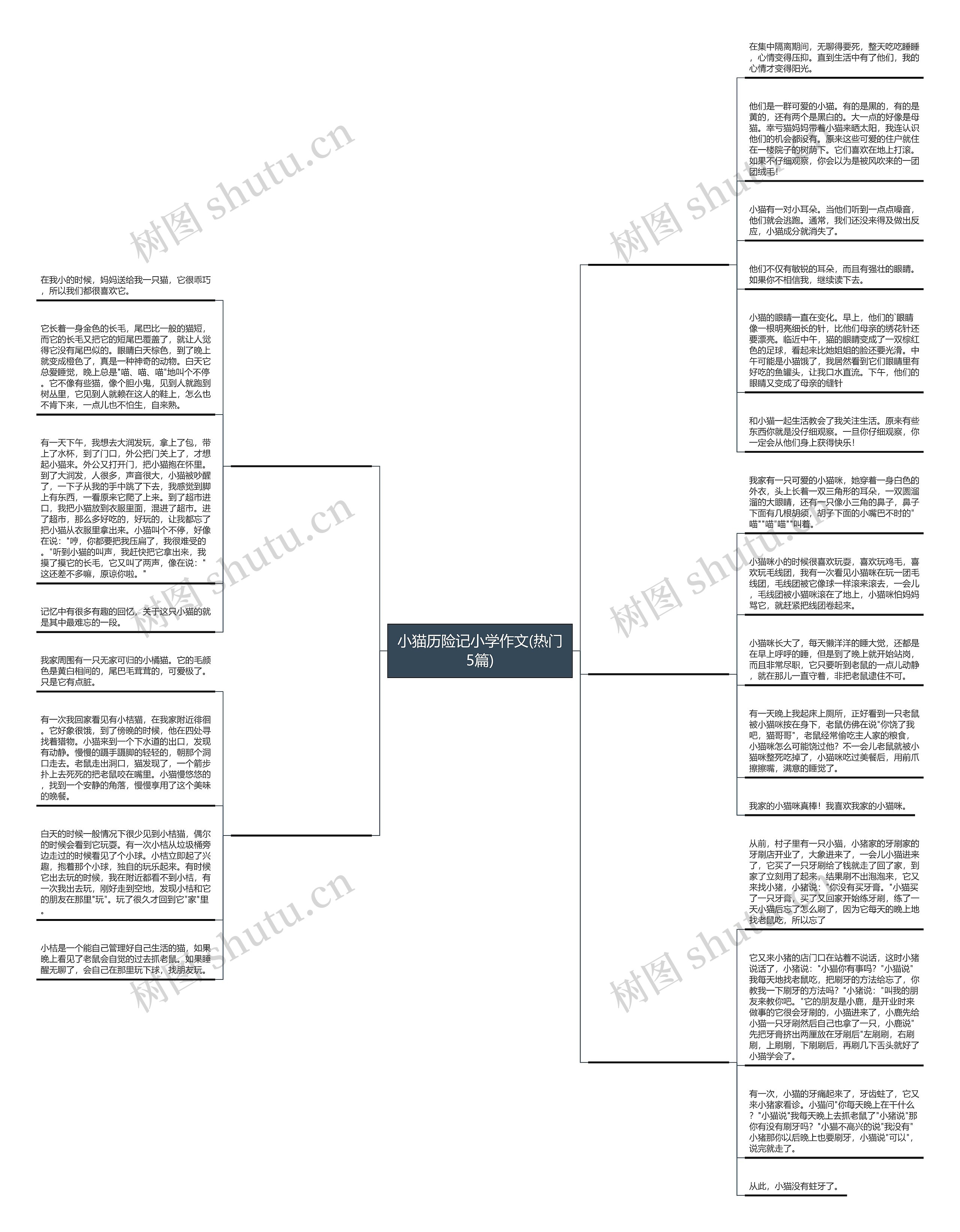 小猫历险记小学作文(热门5篇)思维导图