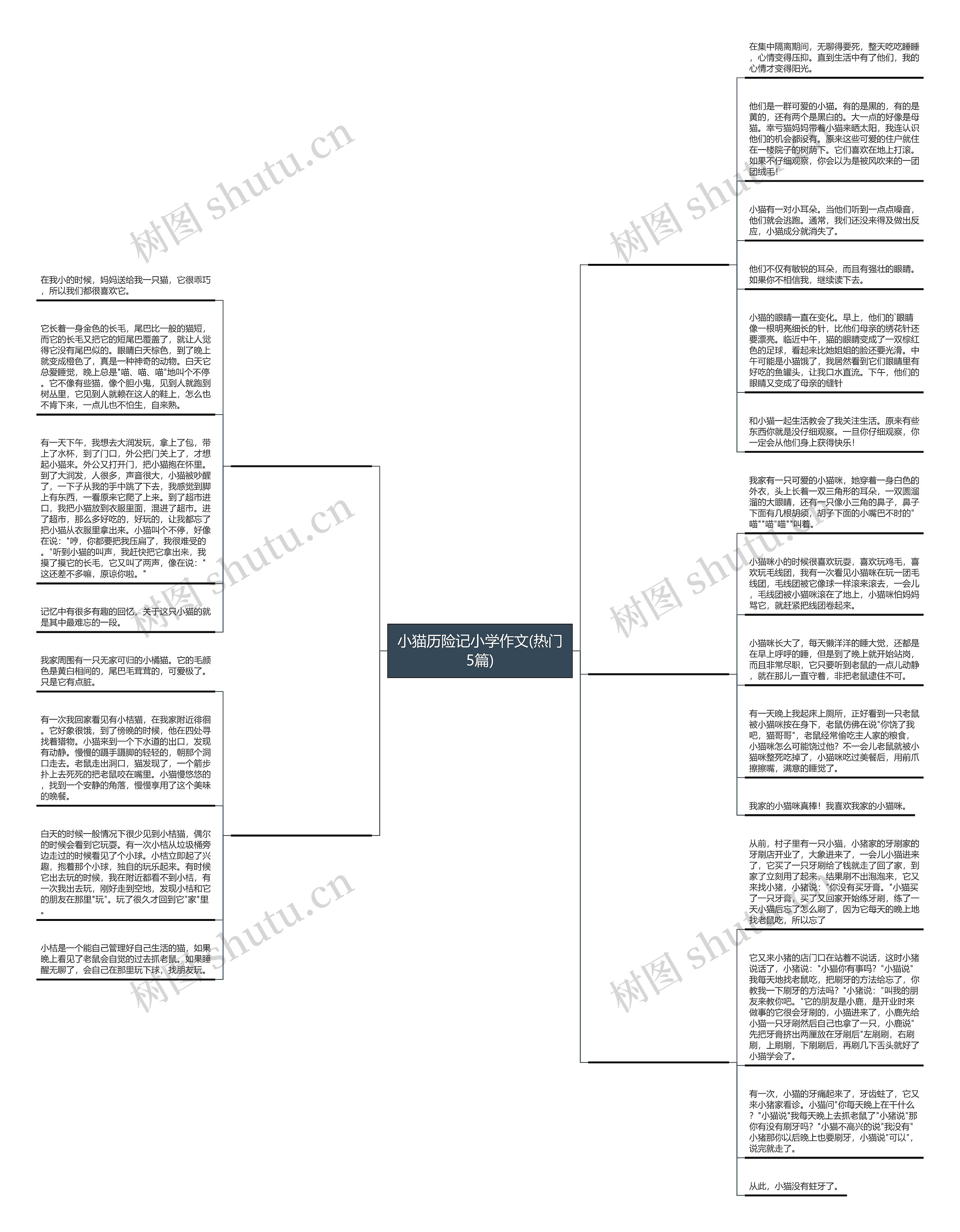 小猫历险记小学作文(热门5篇) 小猫历险记小学作文(热门5篇)