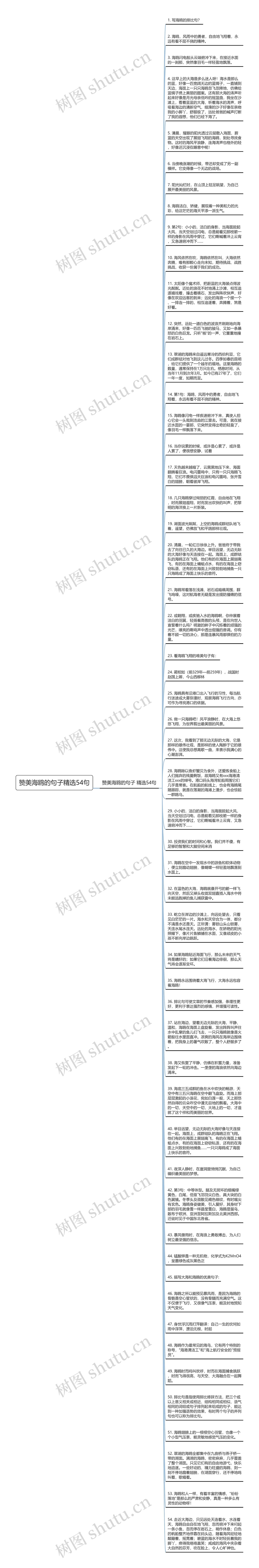 赞美海鸥的句子精选54句