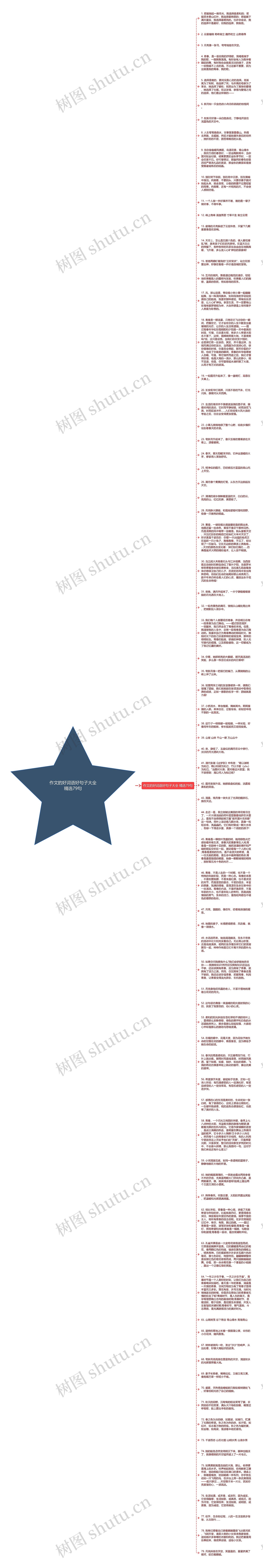 作文的好词语好句子大全精选79句思维导图