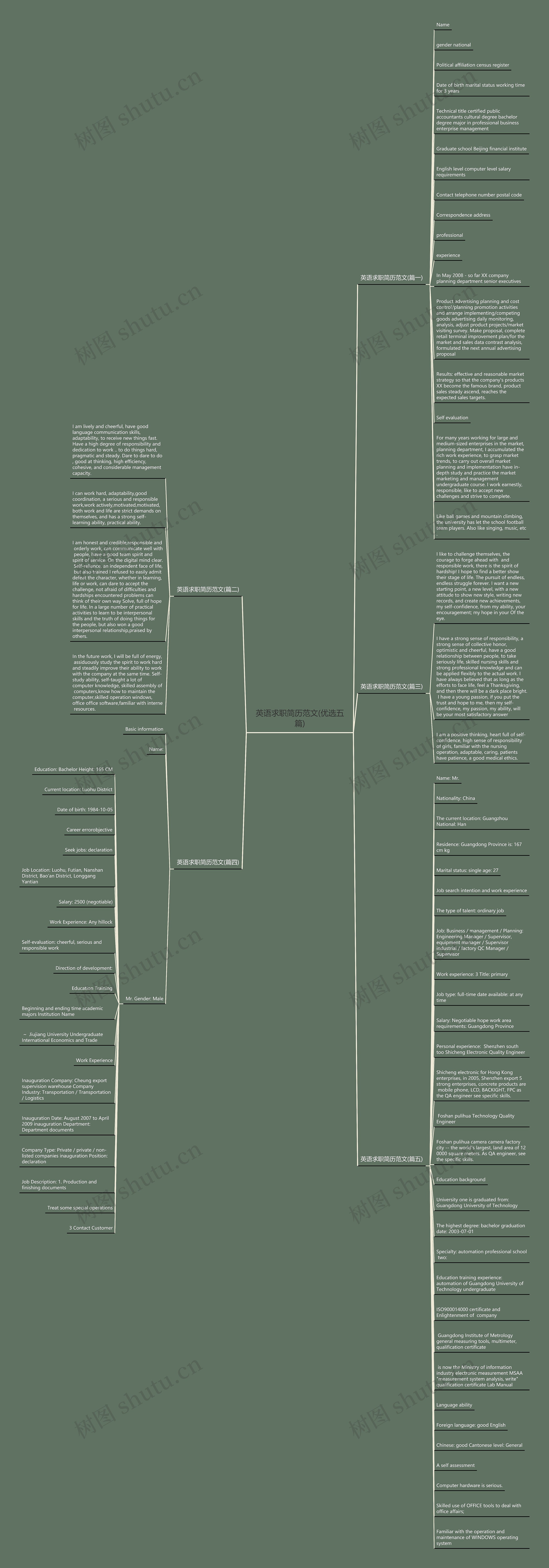 英语求职简历范文(优选五篇)思维导图