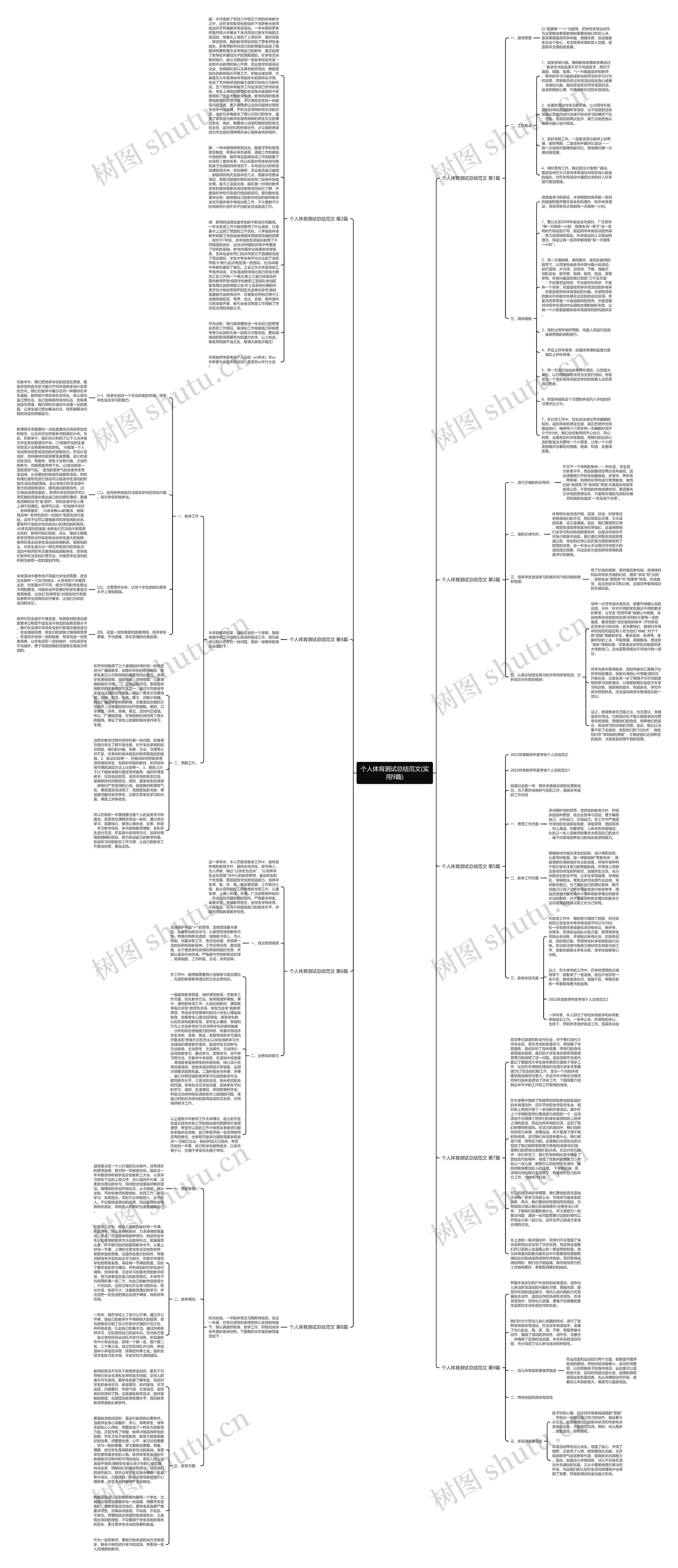 个人体育测试总结范文(实用9篇)思维导图