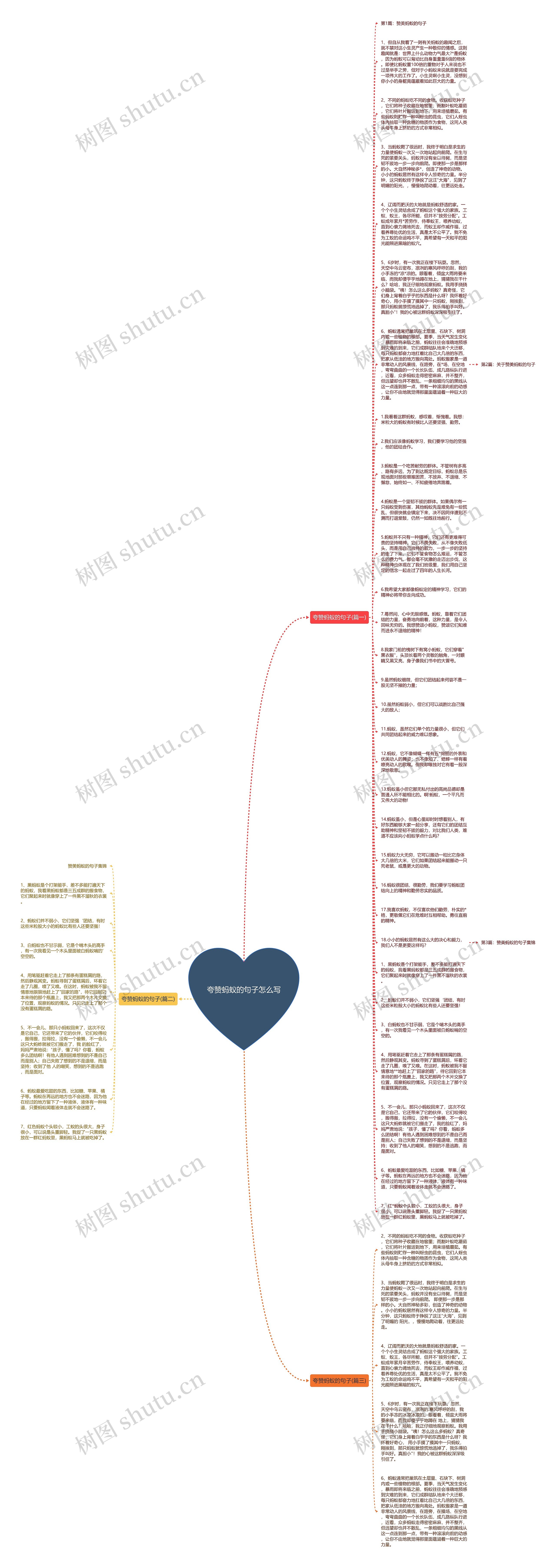 夸赞蚂蚁的句子怎么写思维导图