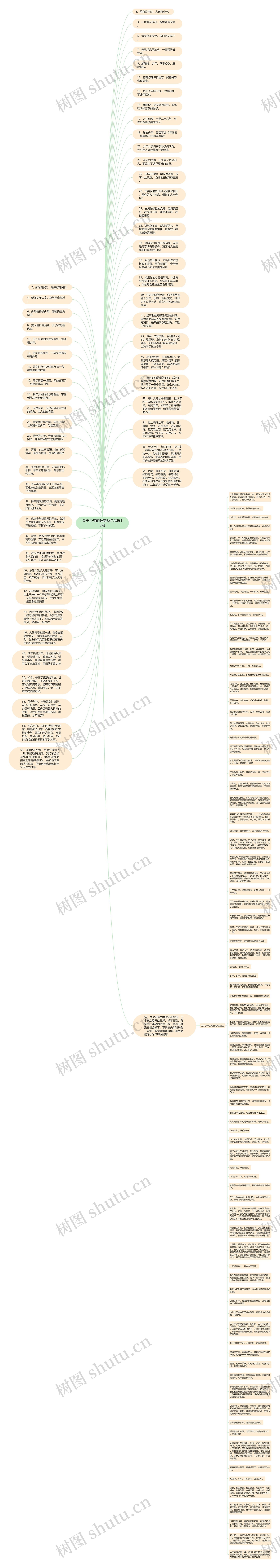 关于少年的唯美短句精选15句思维导图