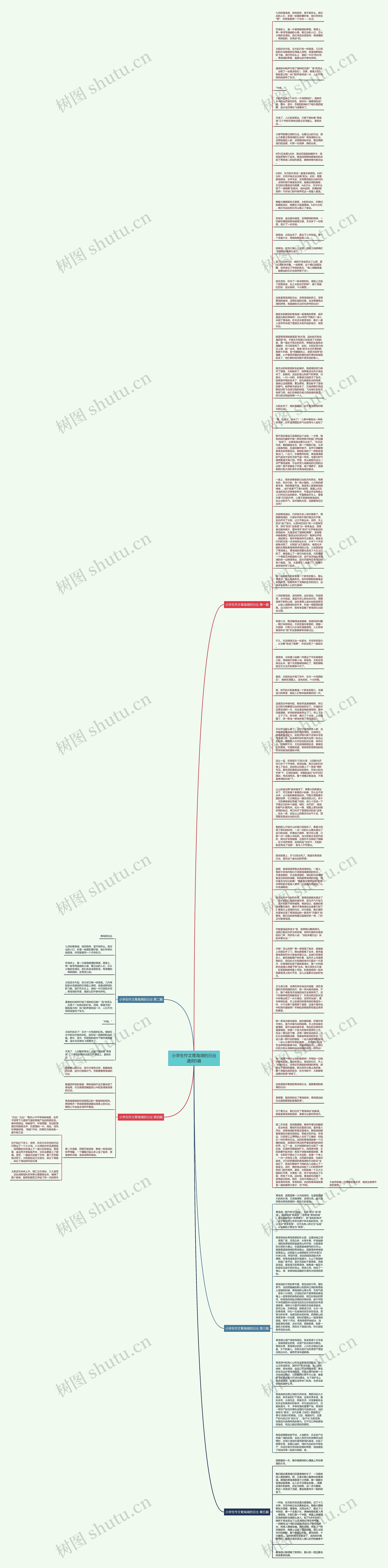小学生作文青海湖的日出通用5篇思维导图