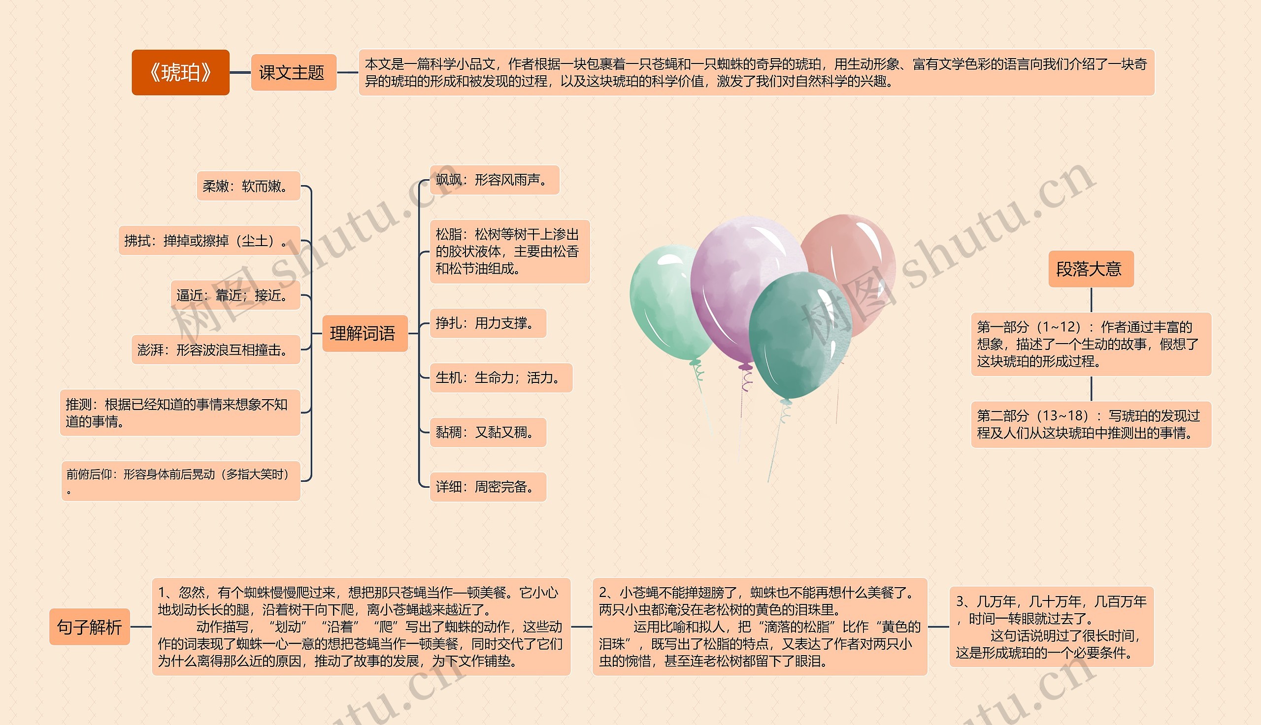 《琥珀》思维导图