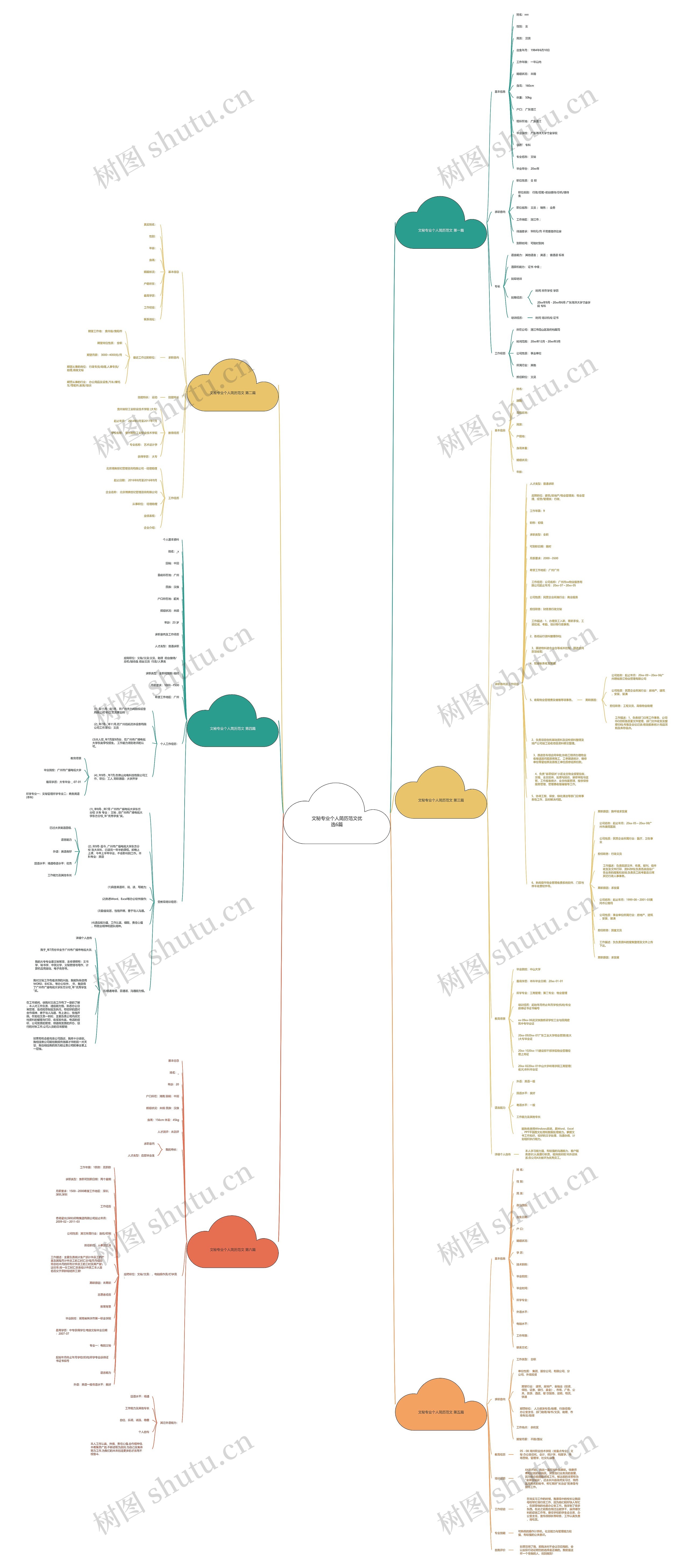 文秘专业个人简历范文优选6篇思维导图