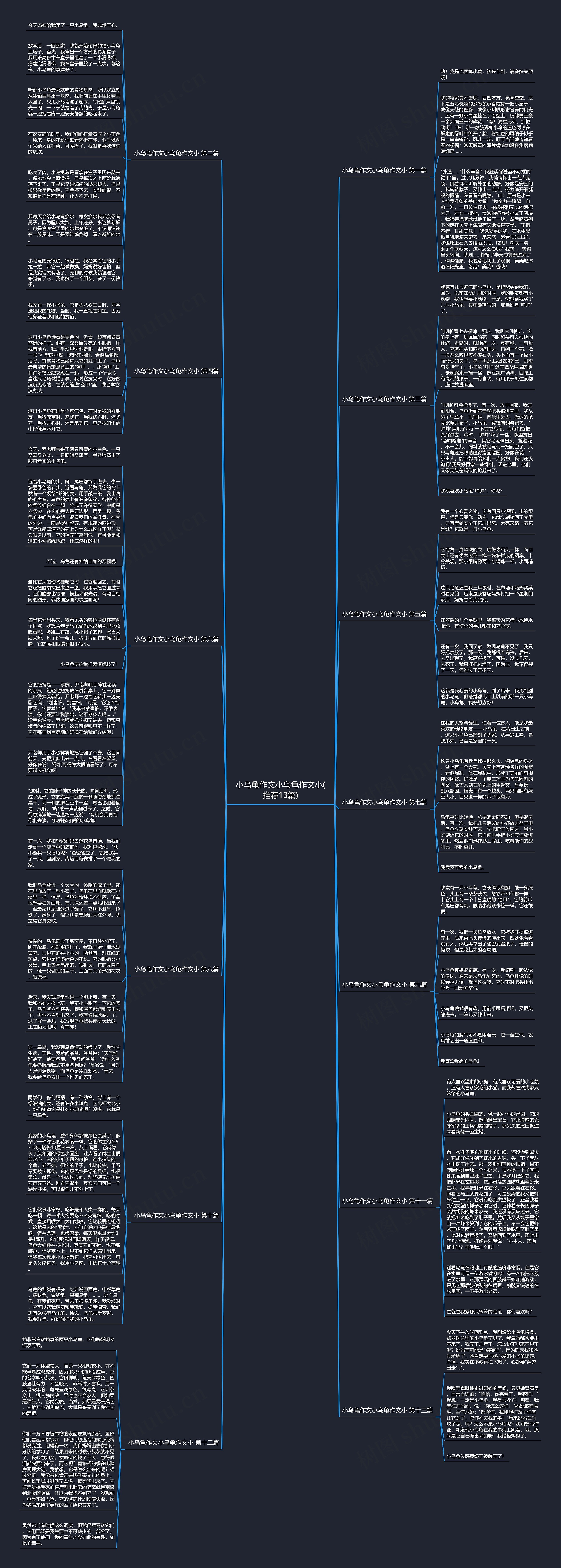 小乌龟作文小乌龟作文小(推荐13篇)思维导图