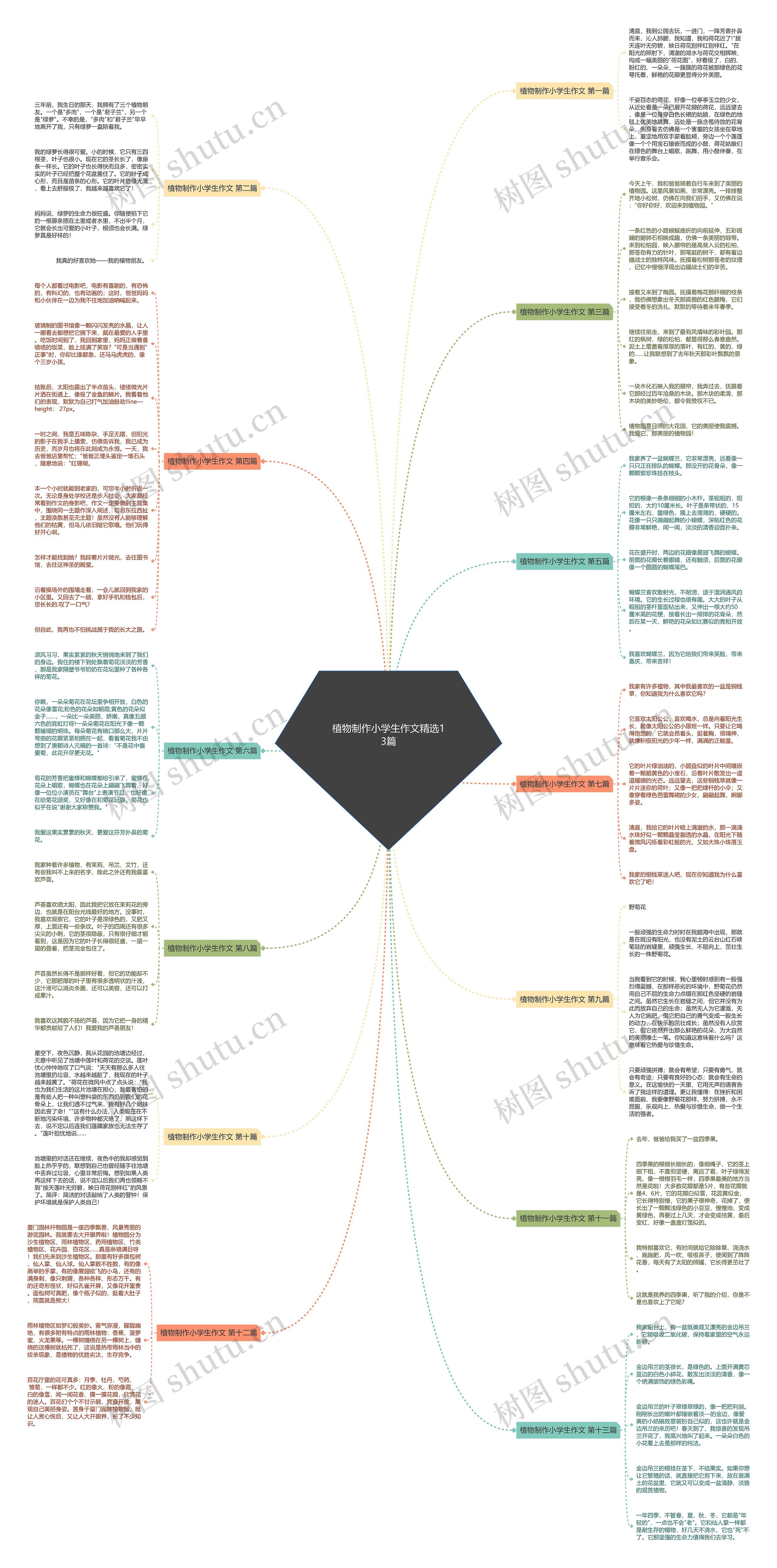 植物制作小学生作文精选13篇思维导图