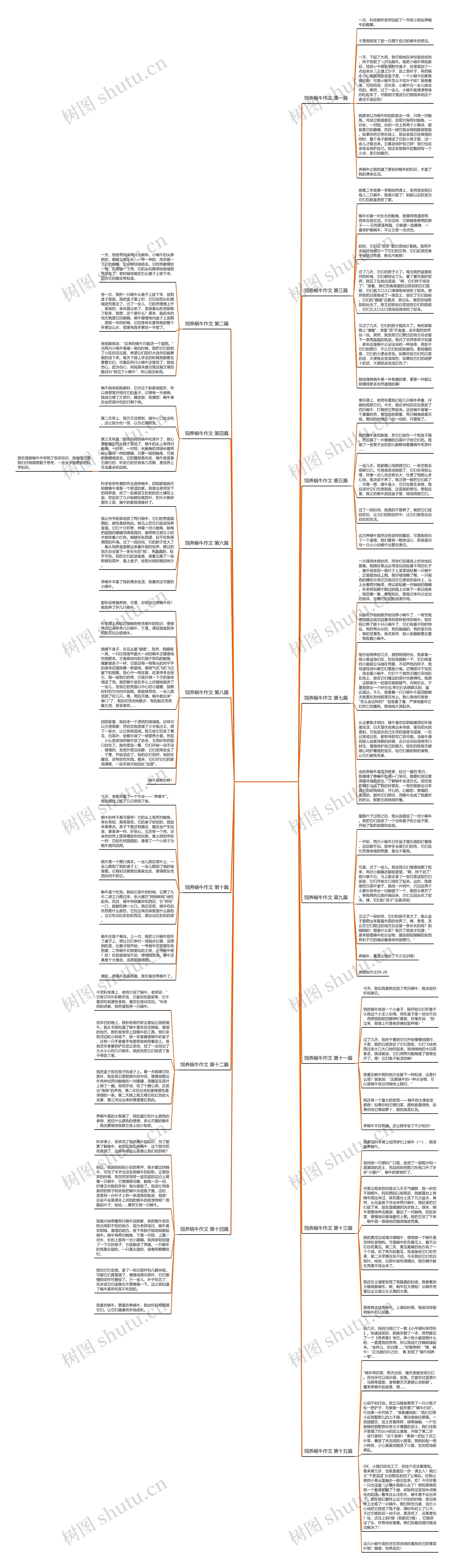 饲养蜗牛作文15篇思维导图