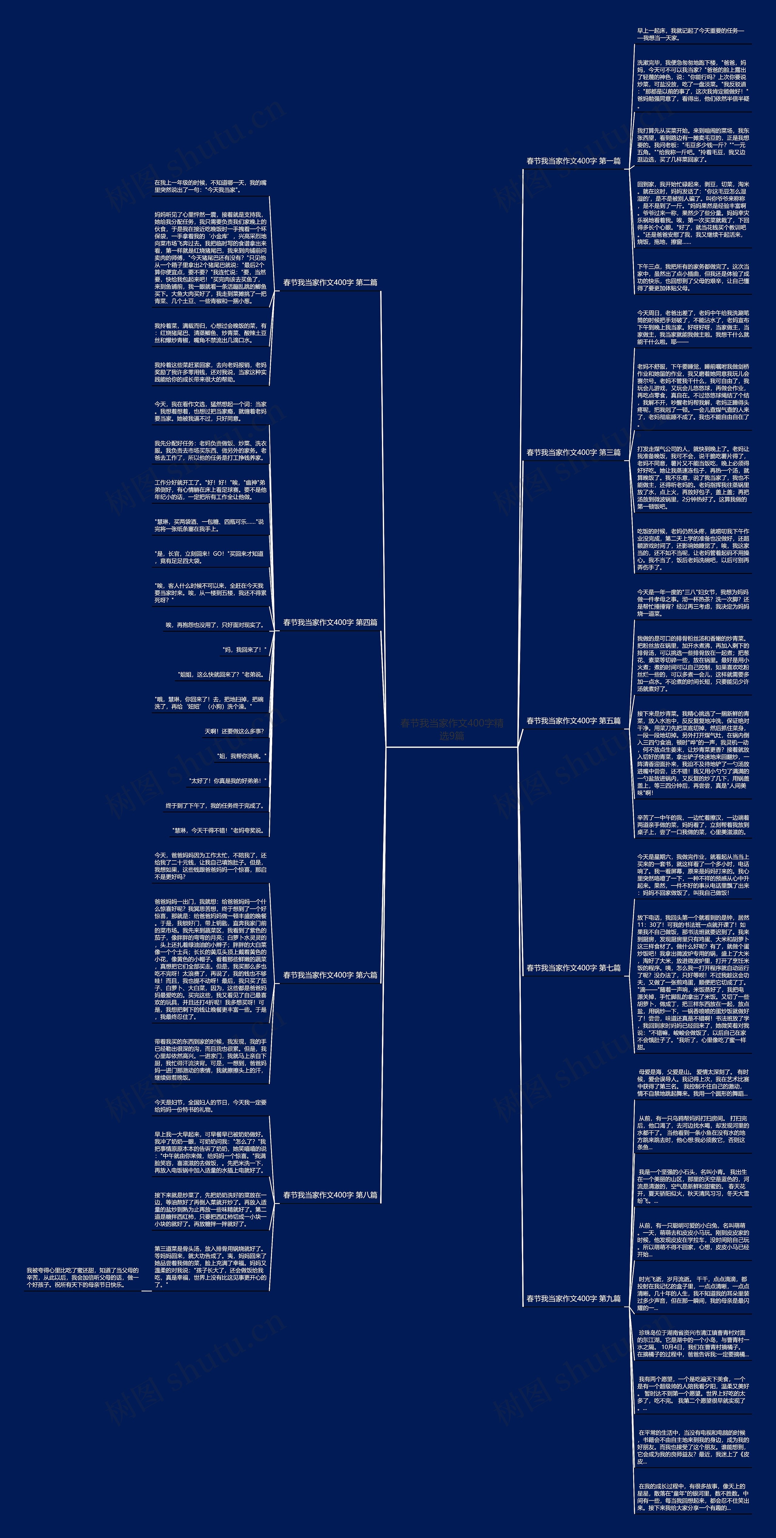 春节我当家作文400字精选9篇思维导图