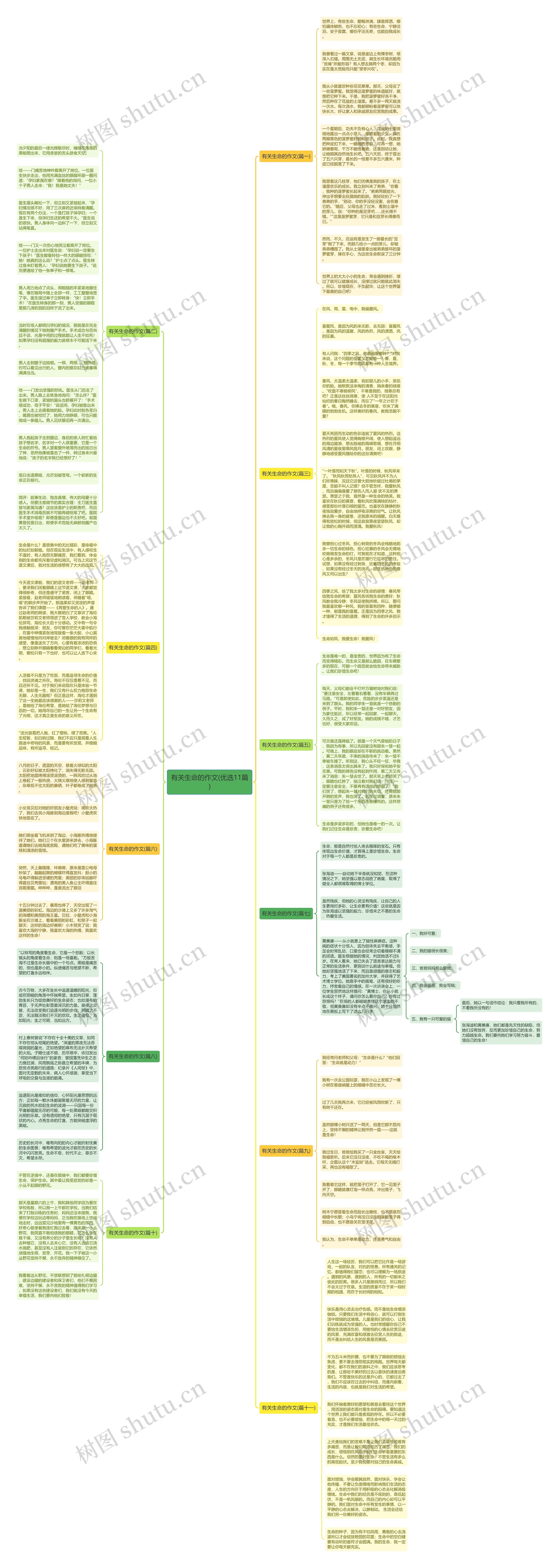 有关生命的作文(优选11篇)思维导图