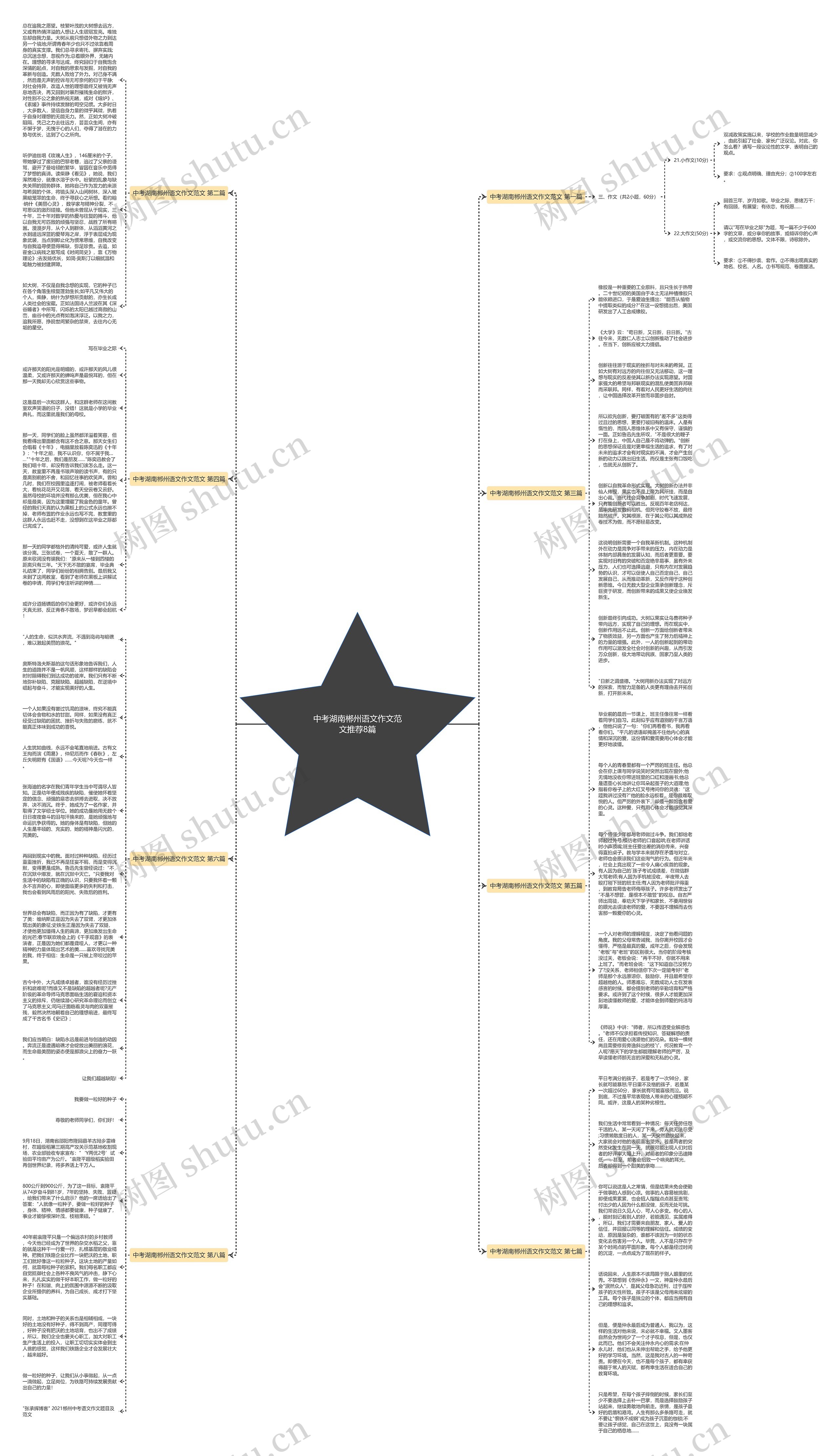 中考湖南郴州语文作文范文推荐8篇思维导图