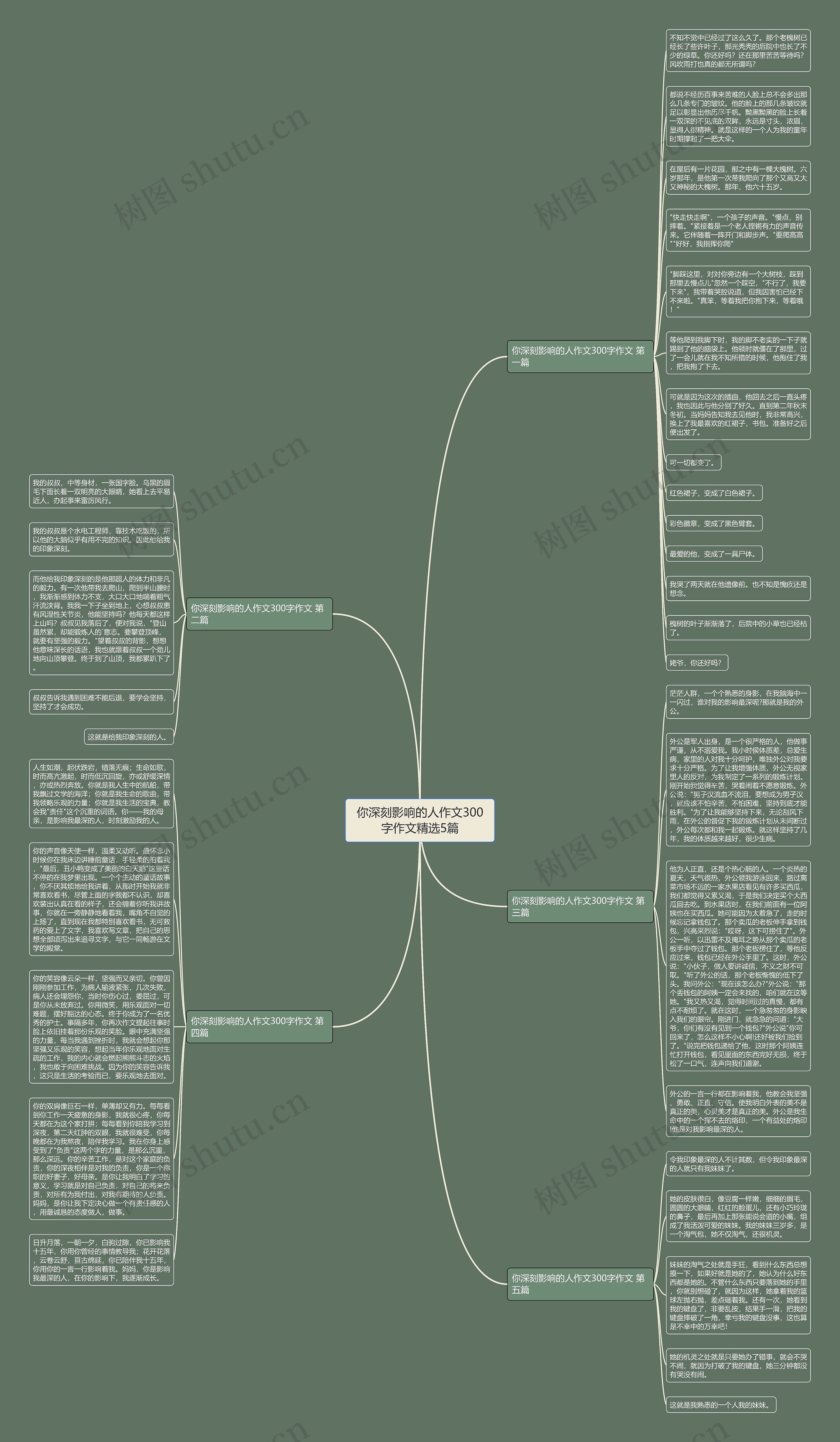 你深刻影响的人作文300字作文精选5篇思维导图