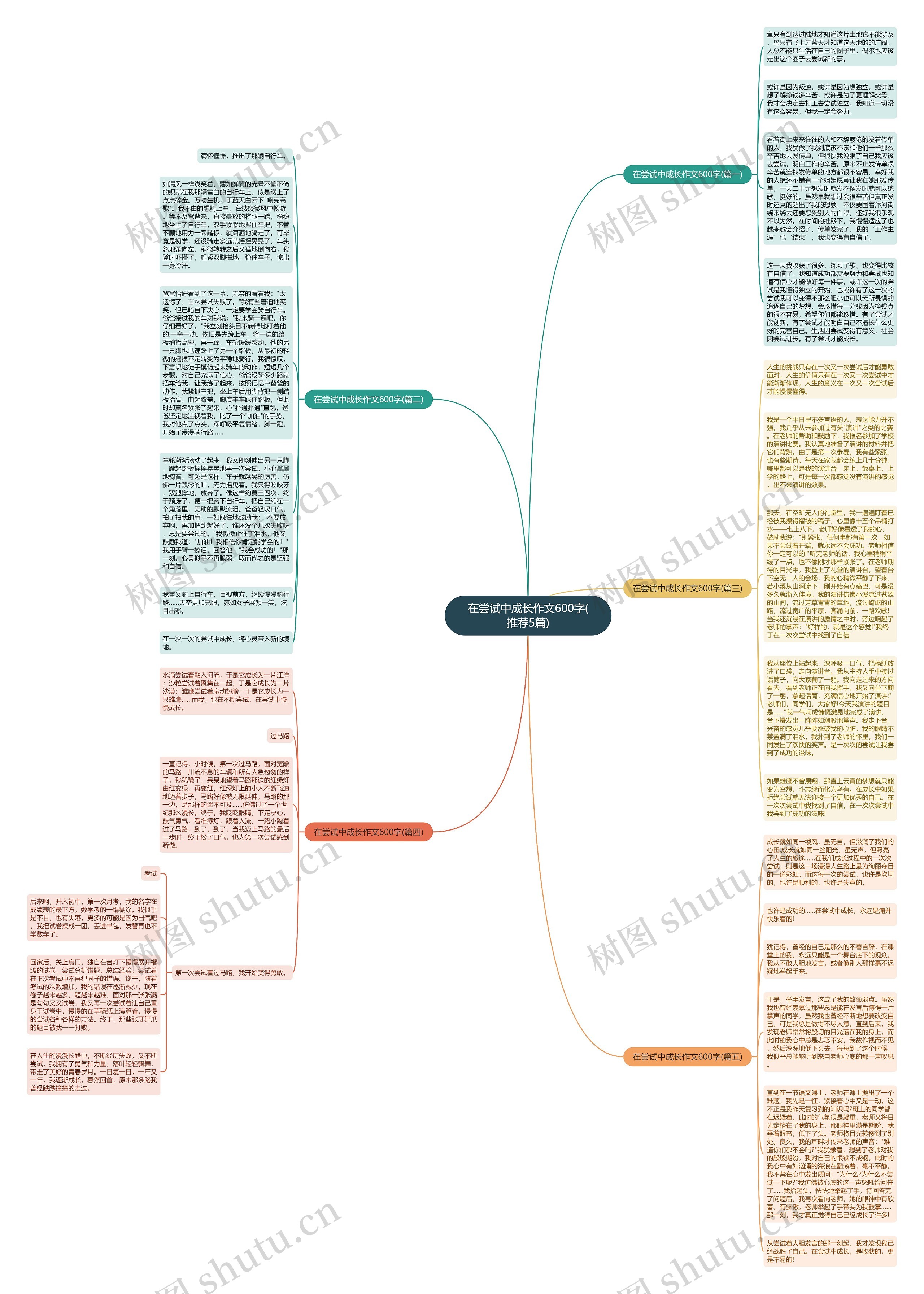 在尝试中成长作文600字(推荐5篇)思维导图