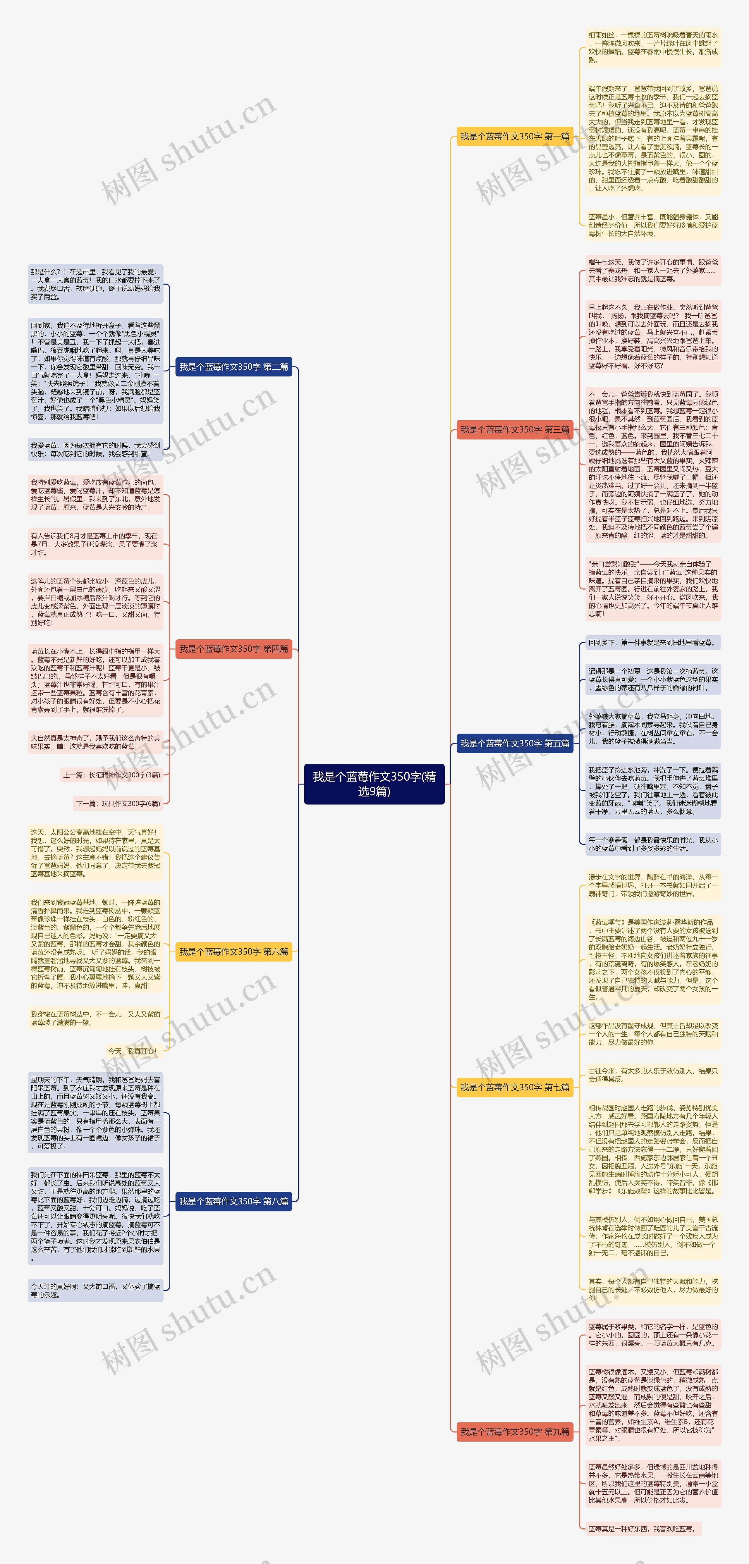 我是个蓝莓作文350字(精选9篇)思维导图