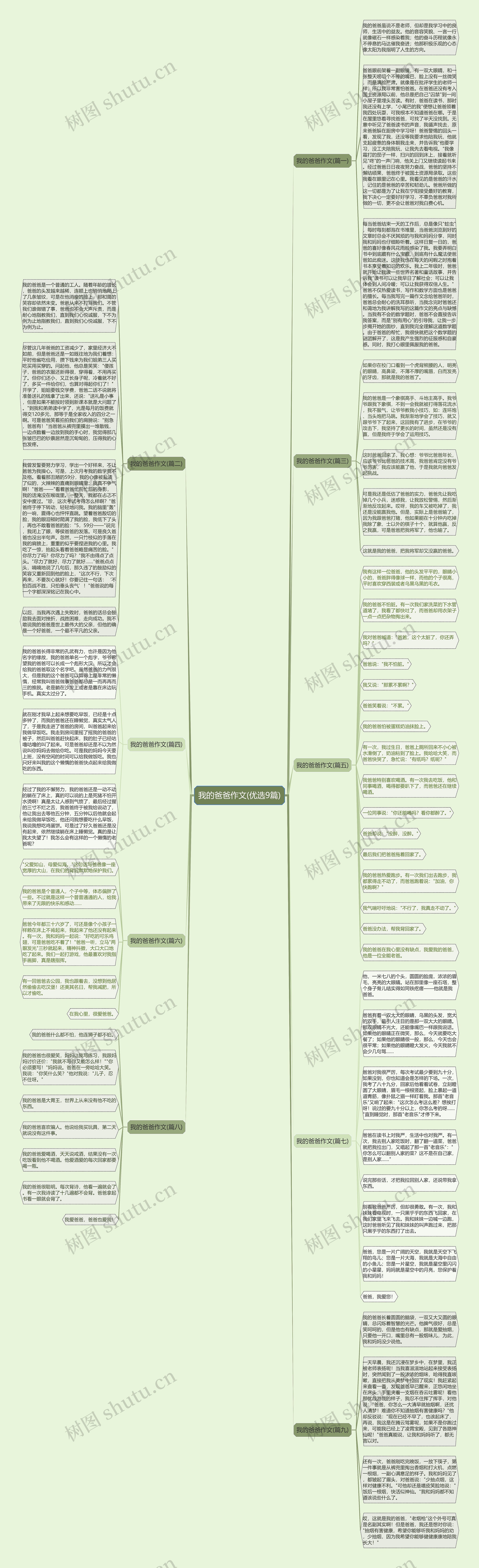 我的爸爸作文(优选9篇)思维导图