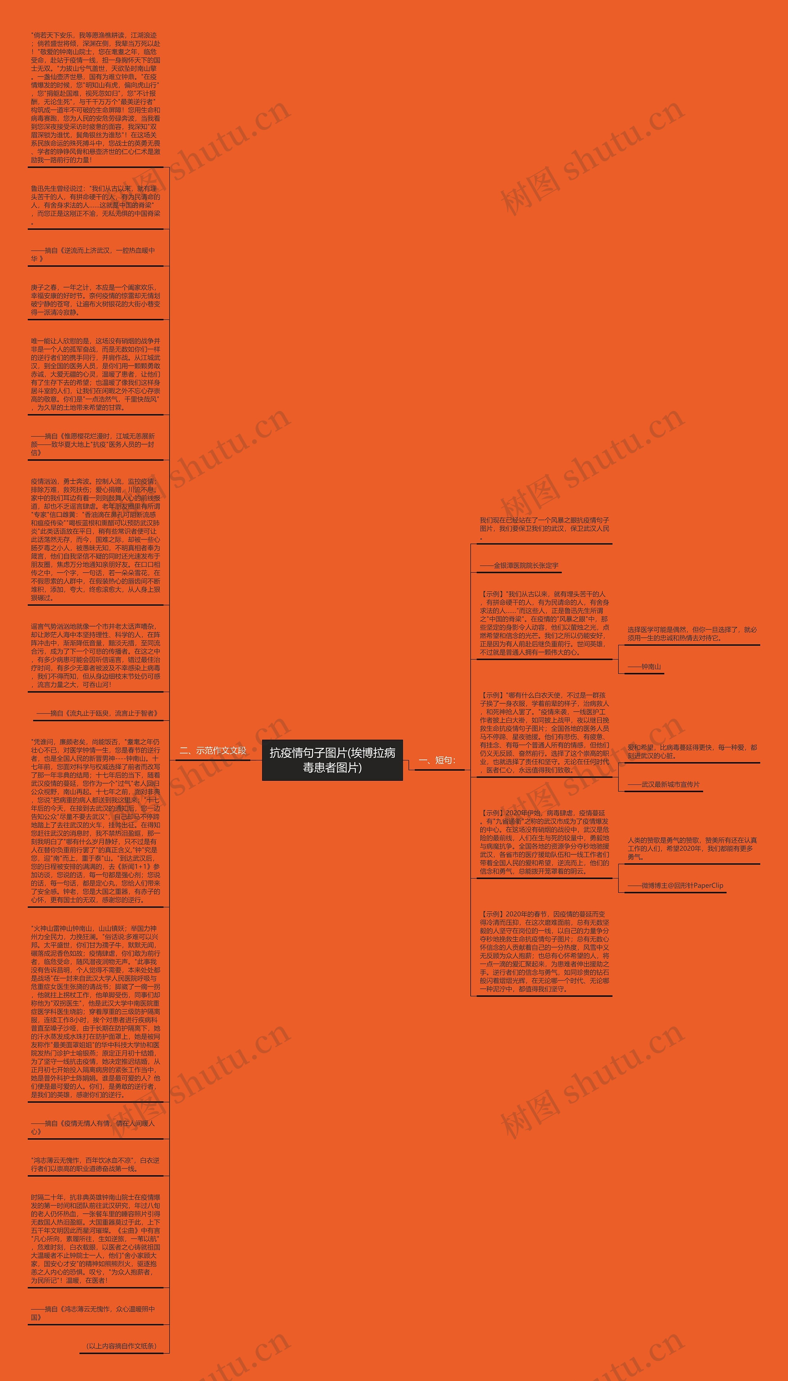 抗疫情句子图片(埃博拉病毒患者图片)思维导图